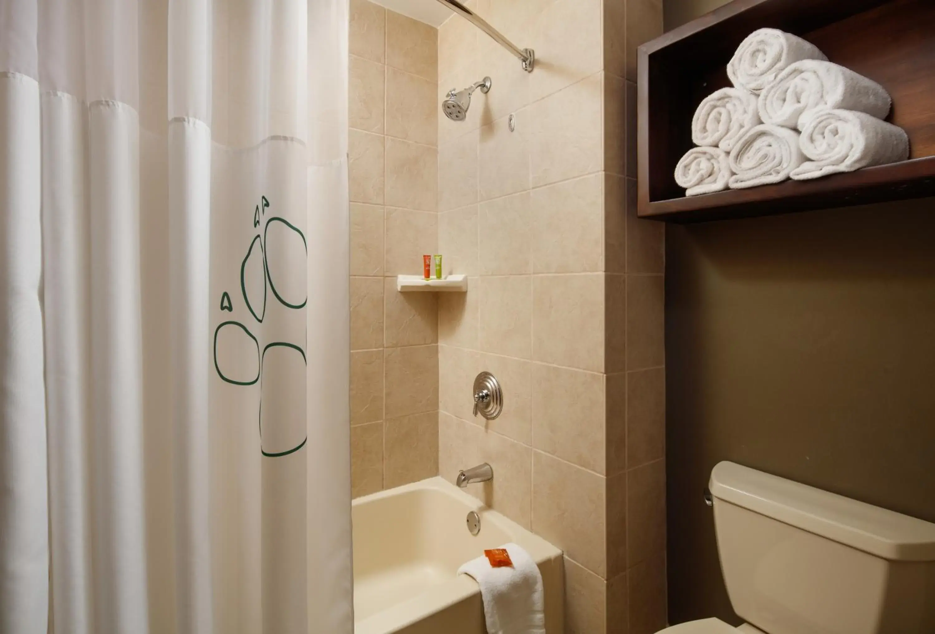 Shower, Bathroom in GREAT WOLF LODGE - ATLANTA LAGRANGE GA