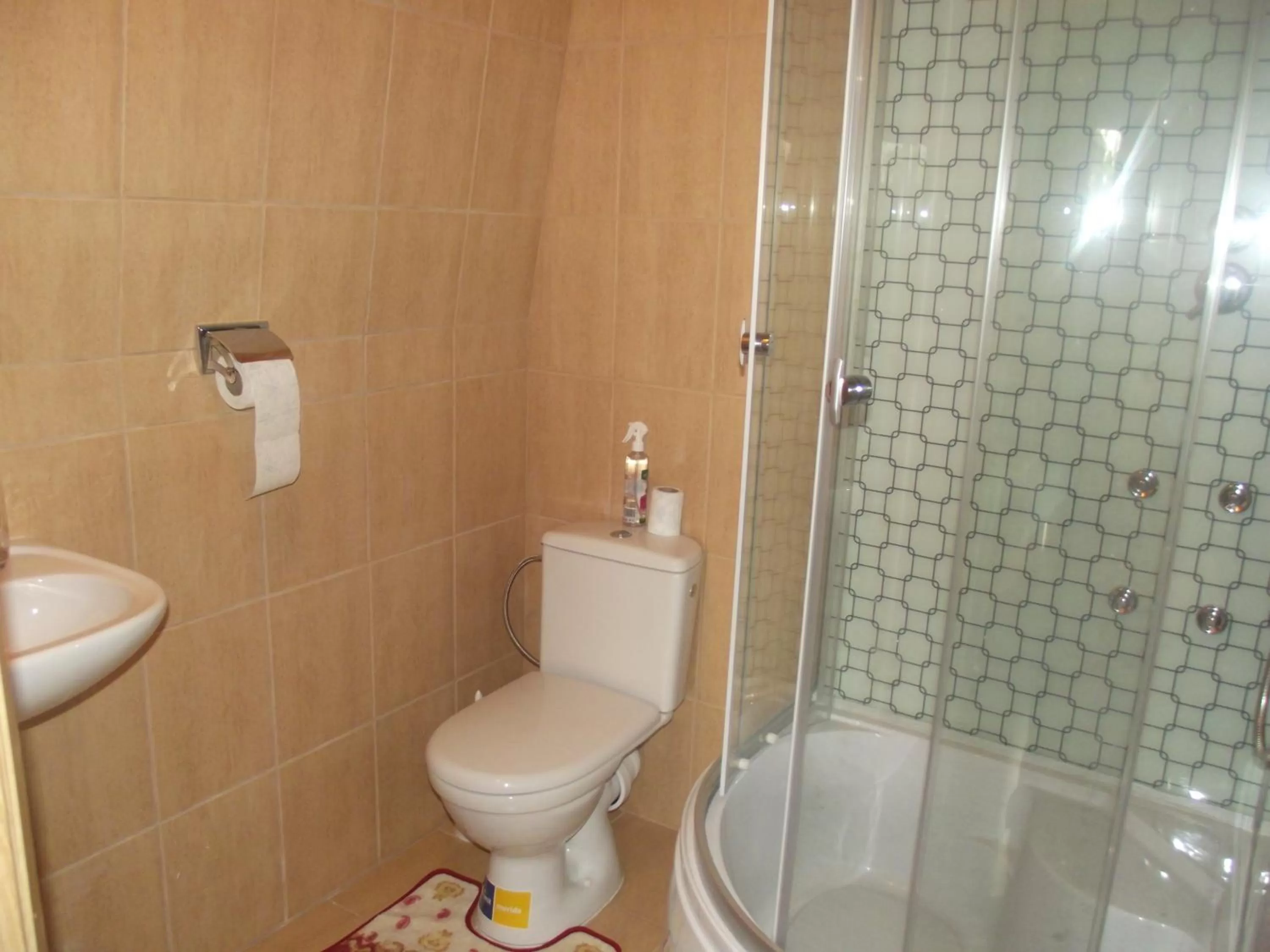 Bathroom in Nakvynė Rokiškyje