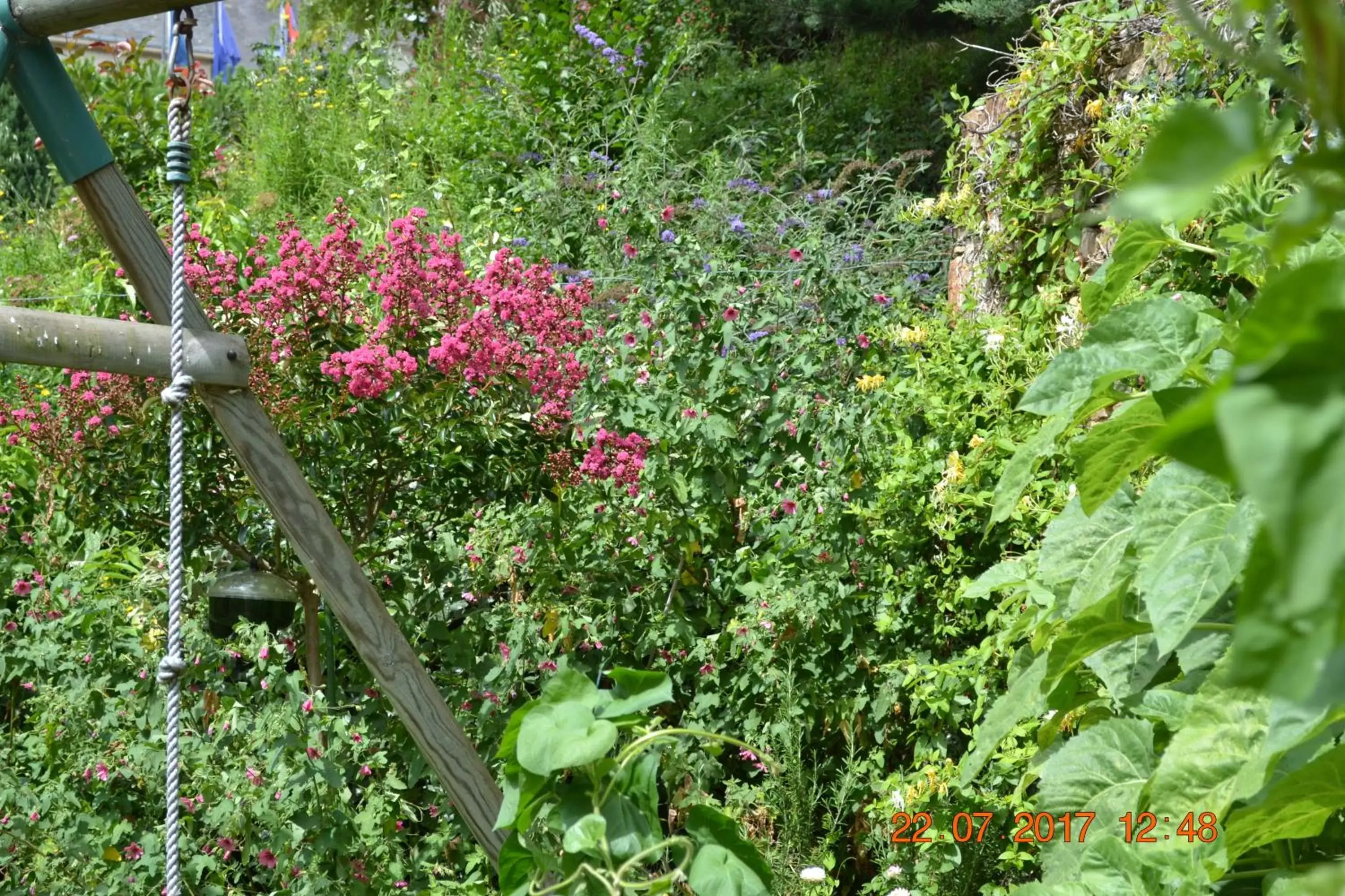 Garden in Hôtel Le Castel