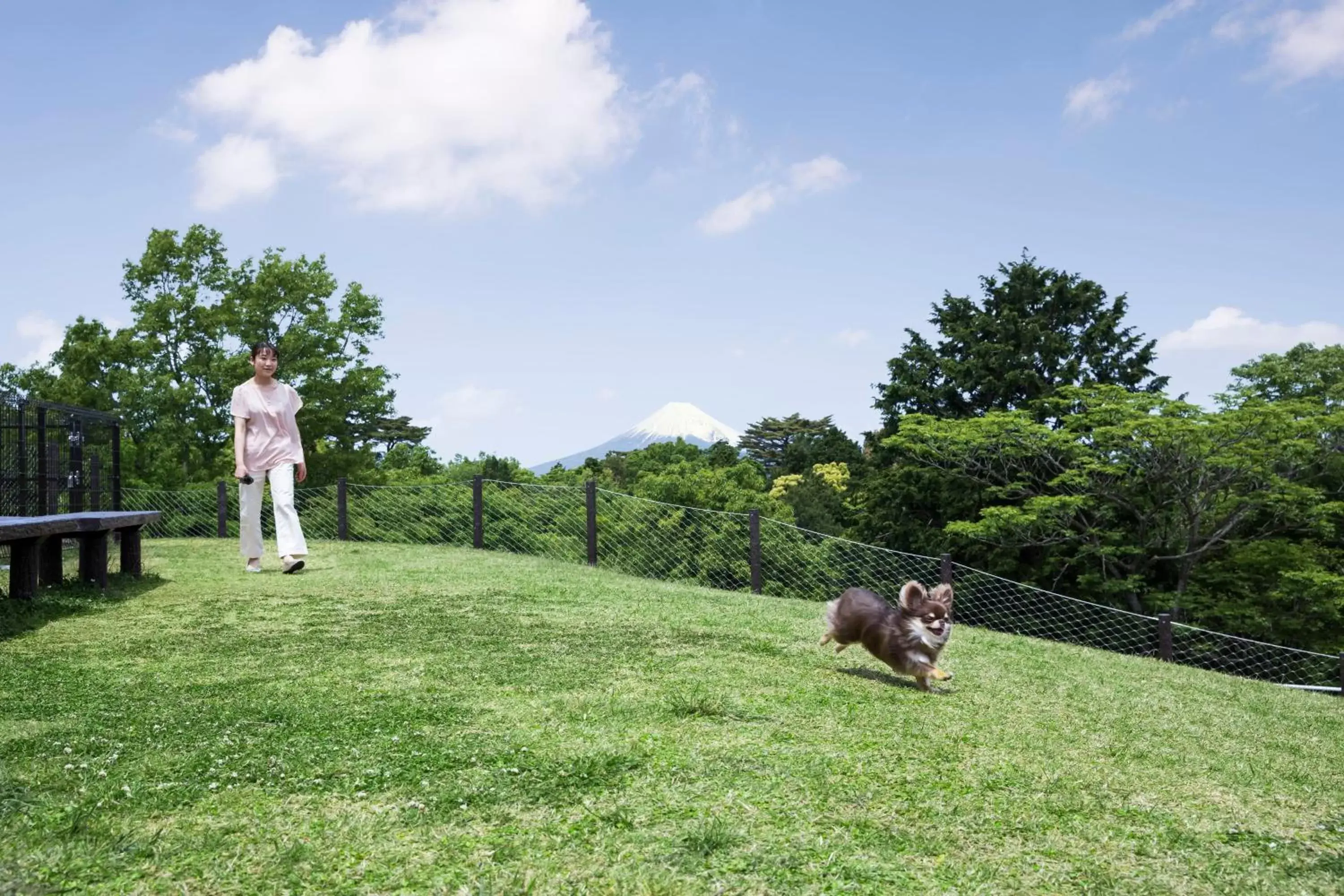 Animals, Pets in Izu Marriott Hotel Shuzenji