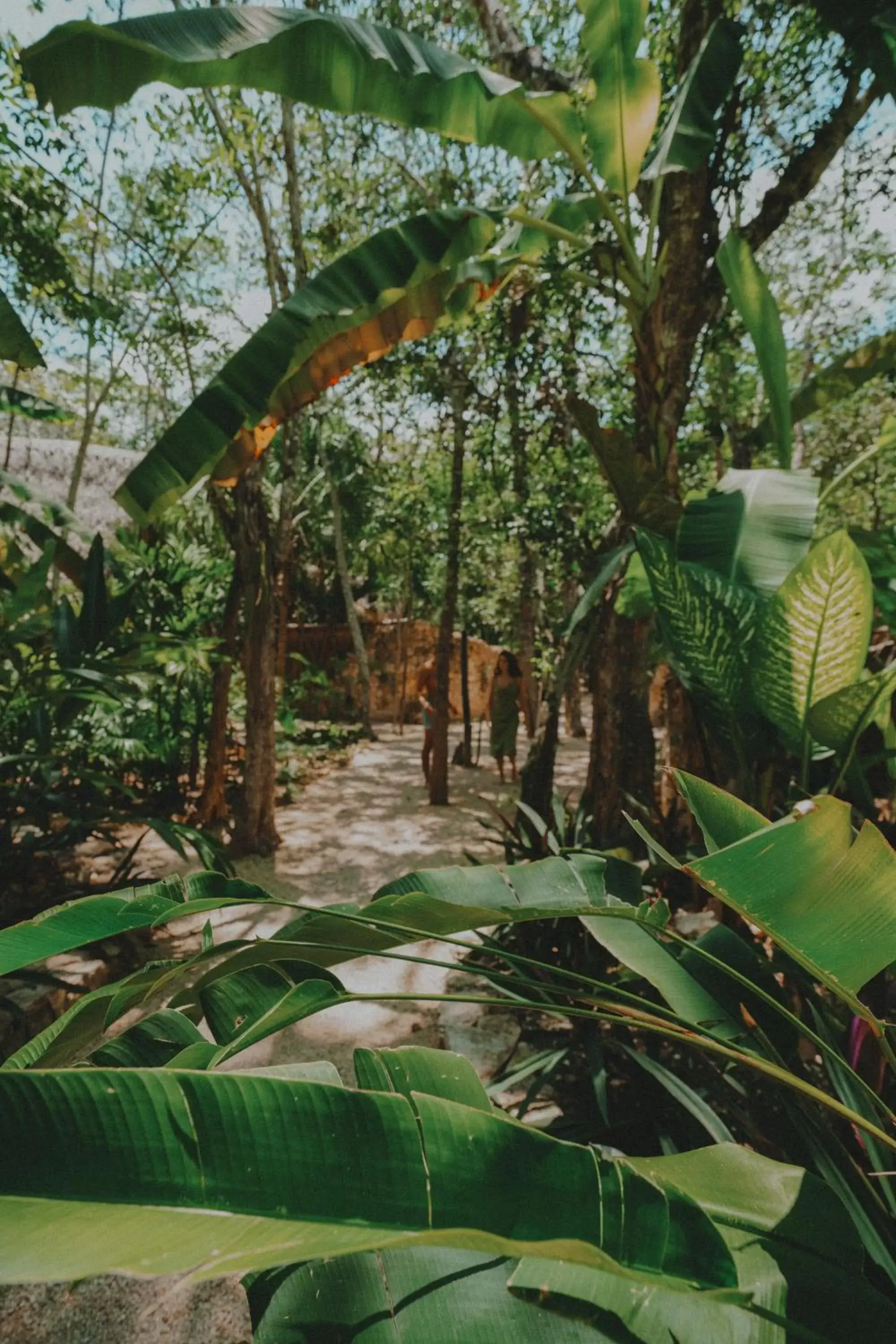 Natural landscape in Naya Bacalar