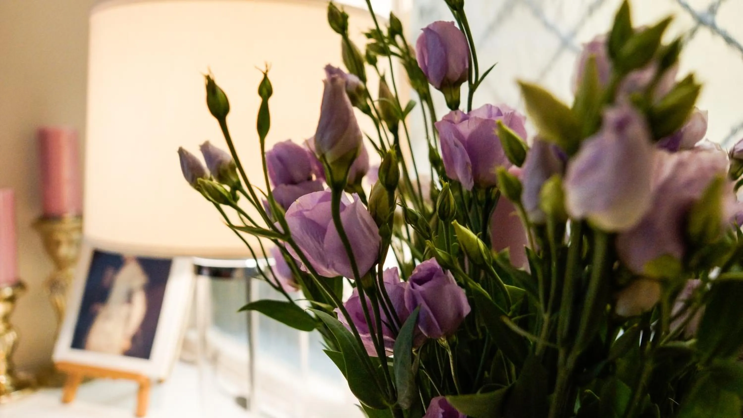 Spring in Hotel Elba am Kurfürstendamm - Design Chambers