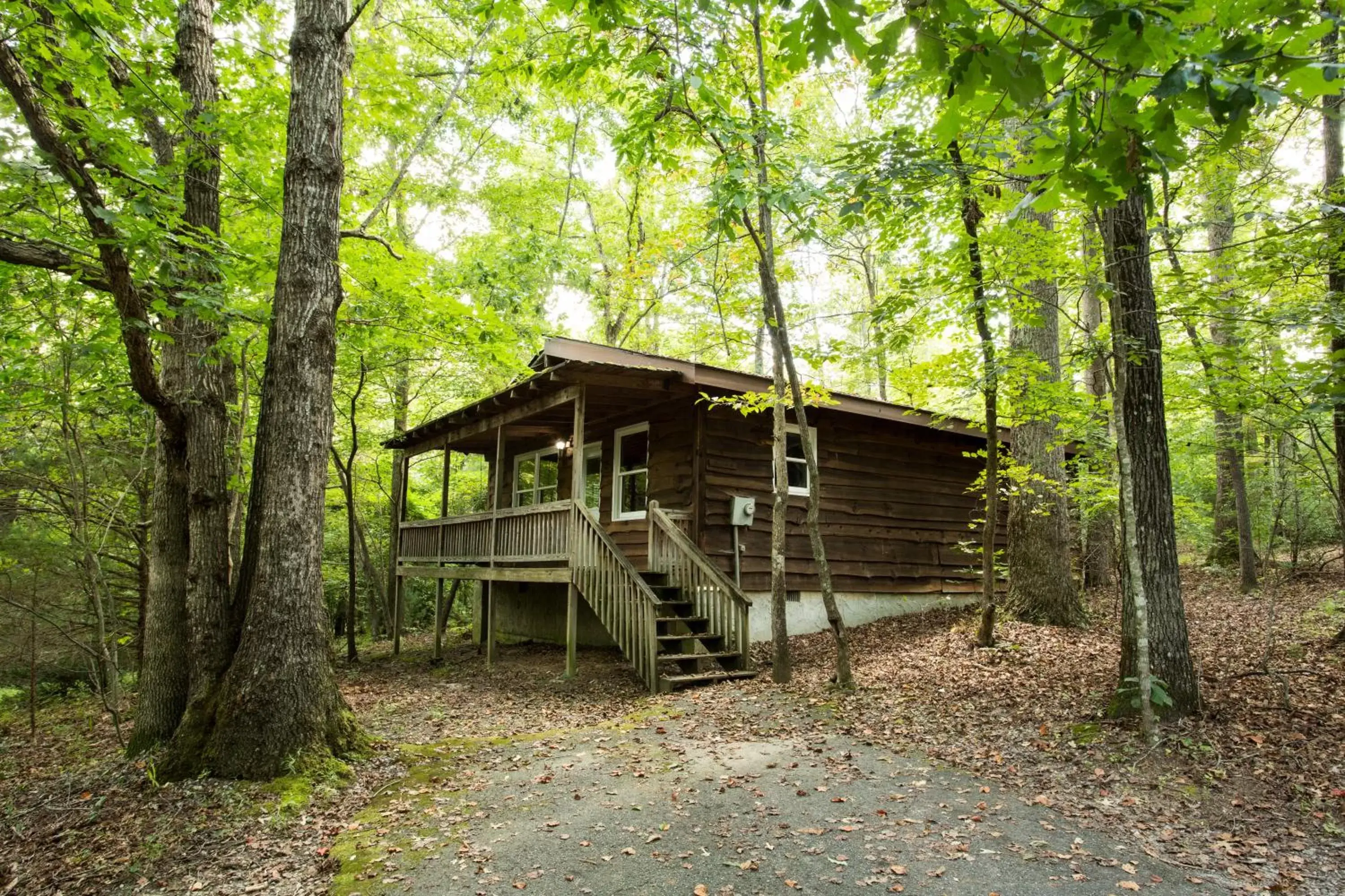 Property Building in Forrest Hills Mountain Resort