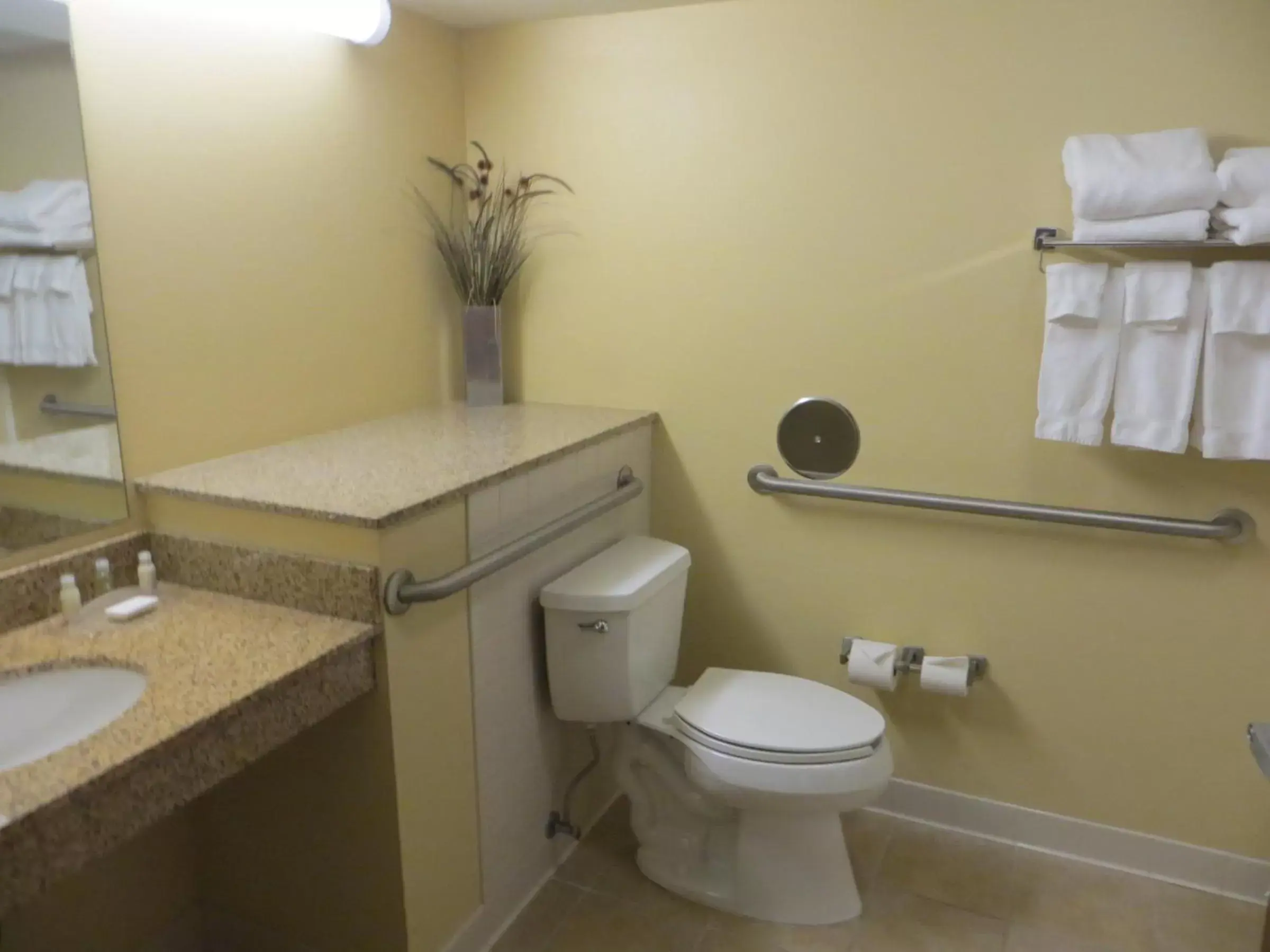 Bathroom in Canad Inns Destination Center Grand Forks