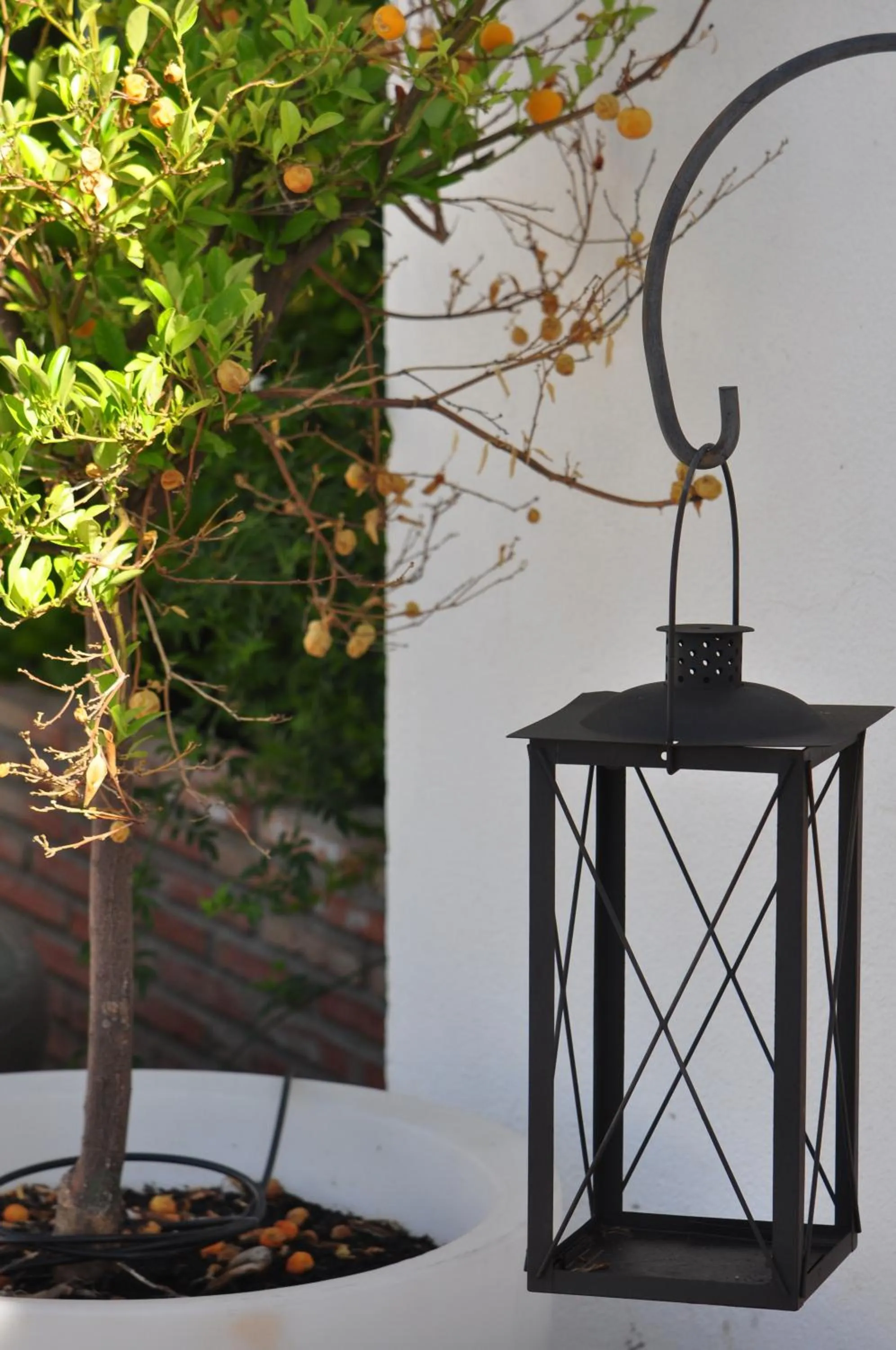 Facade/entrance in Hotel Oasis