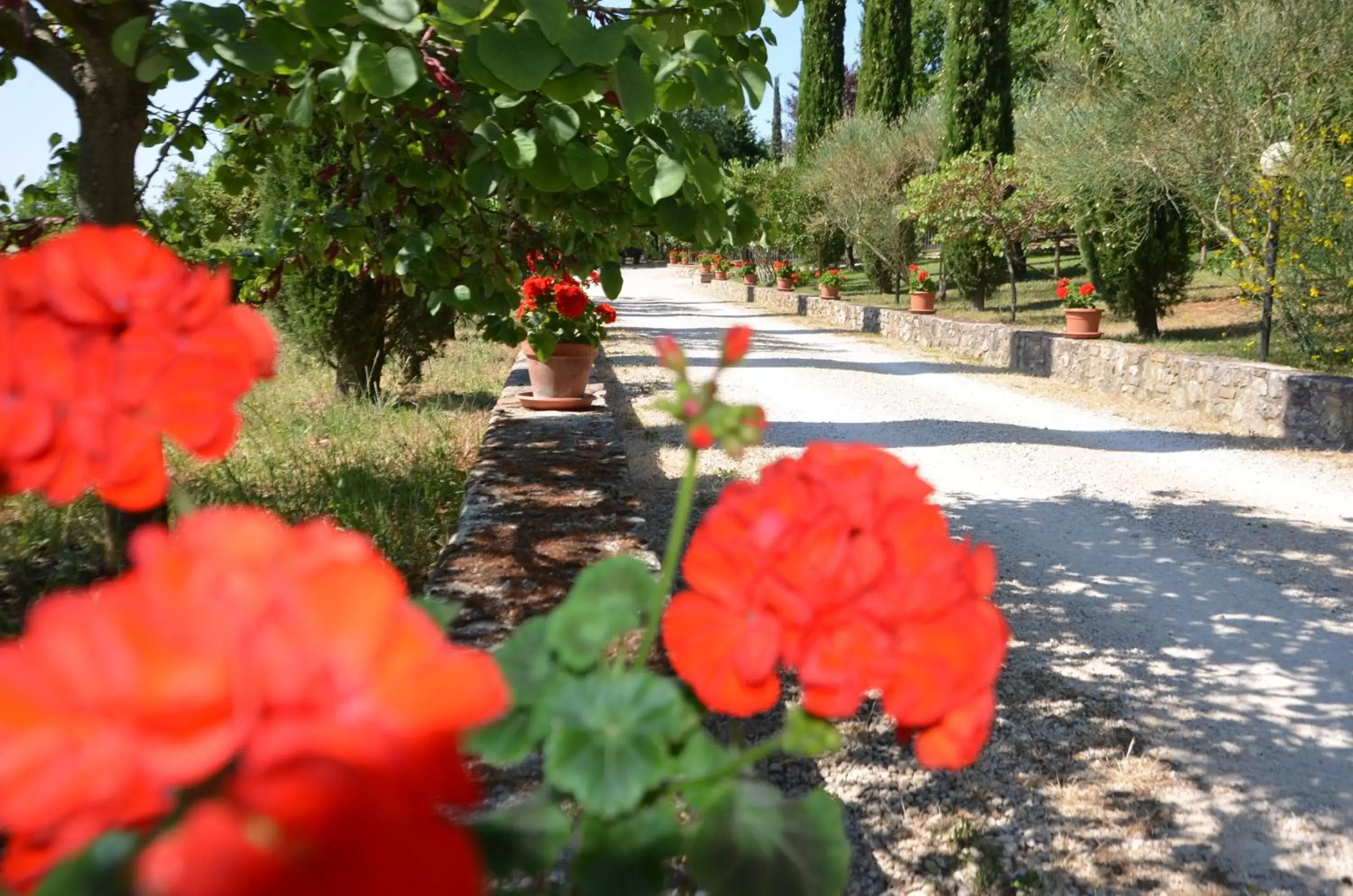 Breakfast, Garden in Casale Santa Caterina