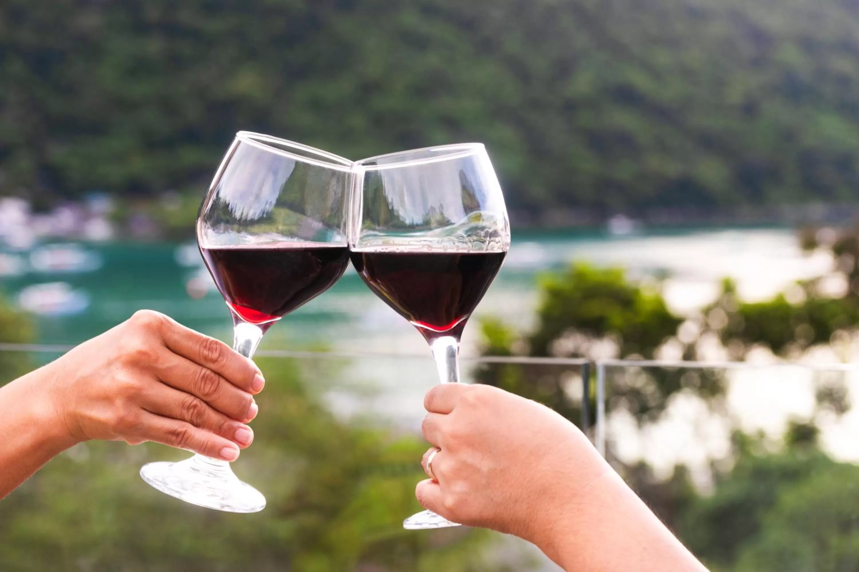 The Funny Lion - El Nido