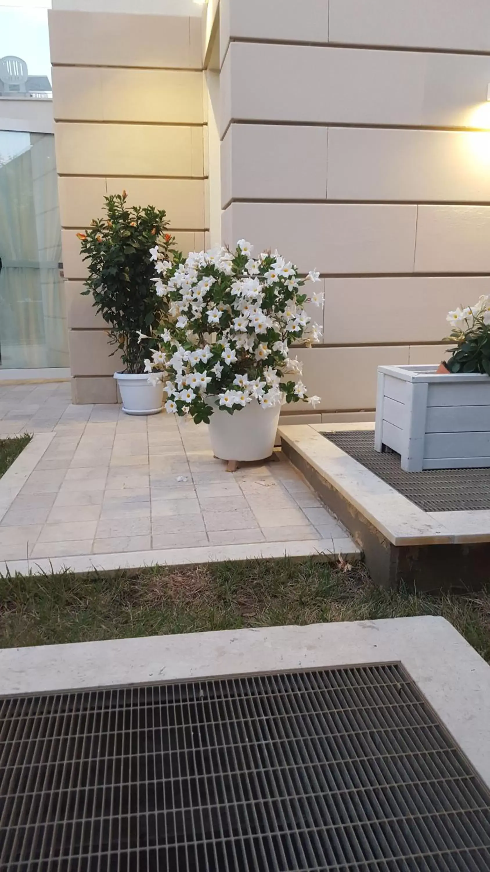 Garden in Hotel Villa Barsanti