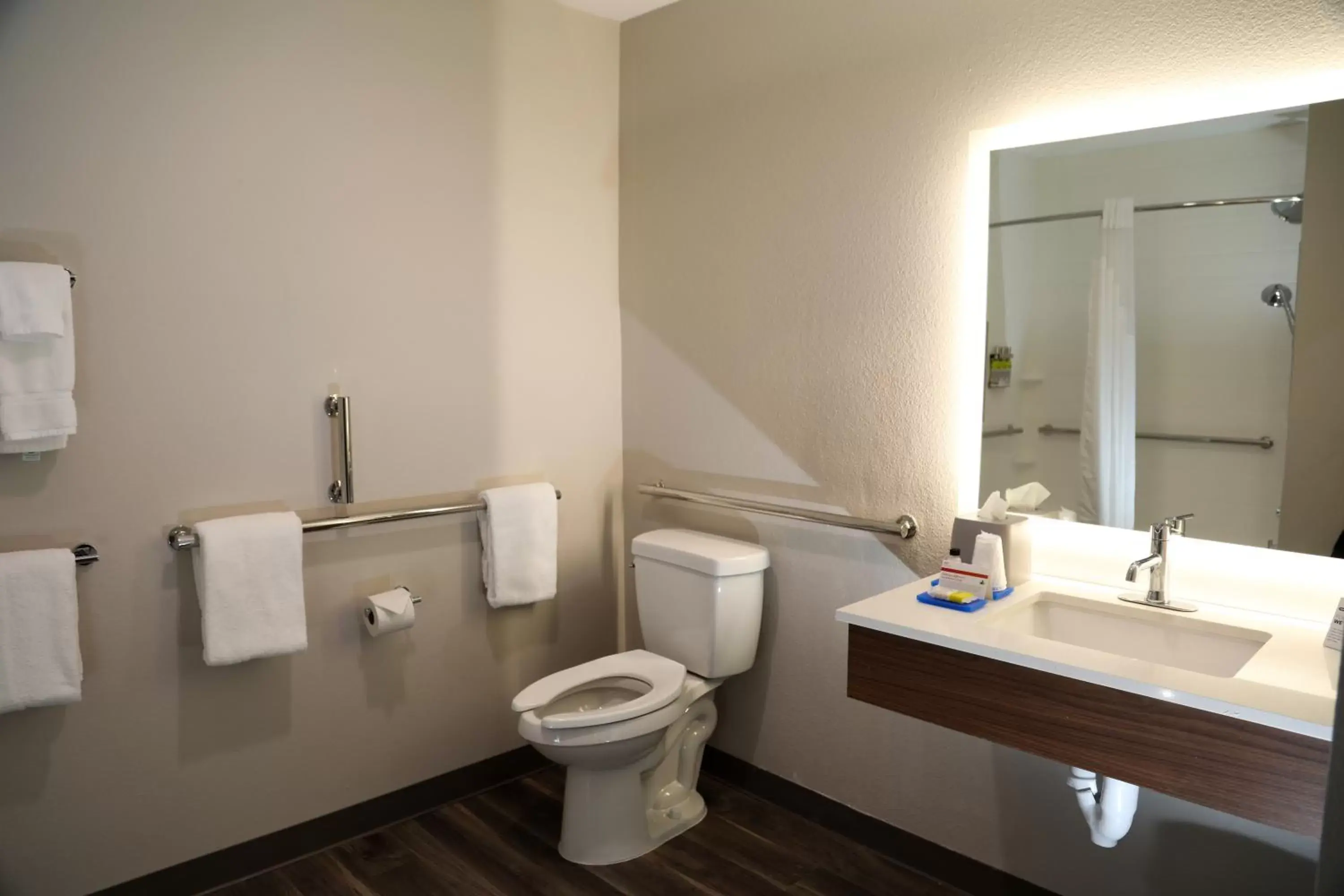 Bathroom in Holiday Inn Express & Suites - Wylie West, an IHG Hotel