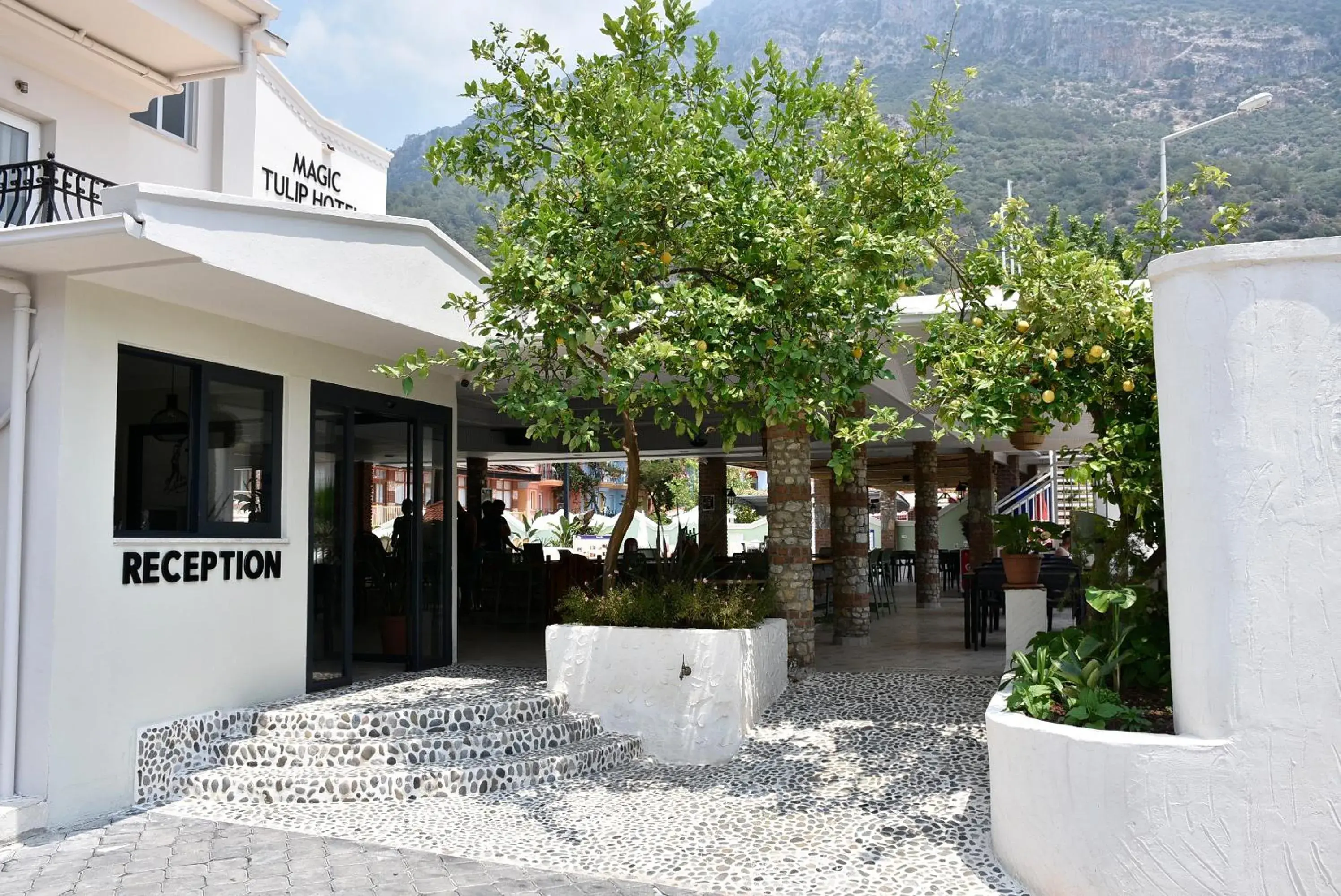 Facade/entrance in Magic Tulip Hotel Facade/entrance in Magic Tulip Hotel