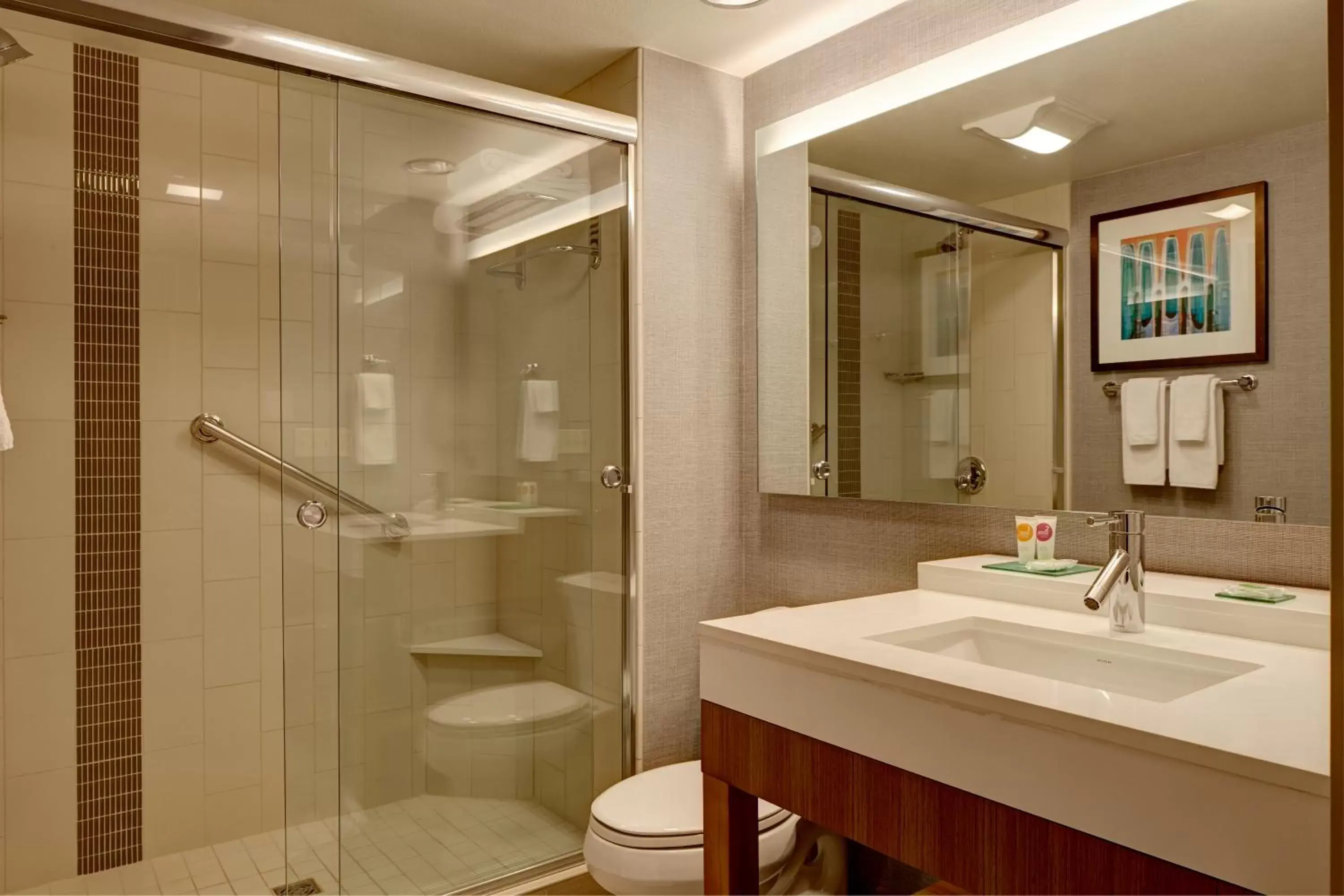 Bathroom in Hyatt Place Delano