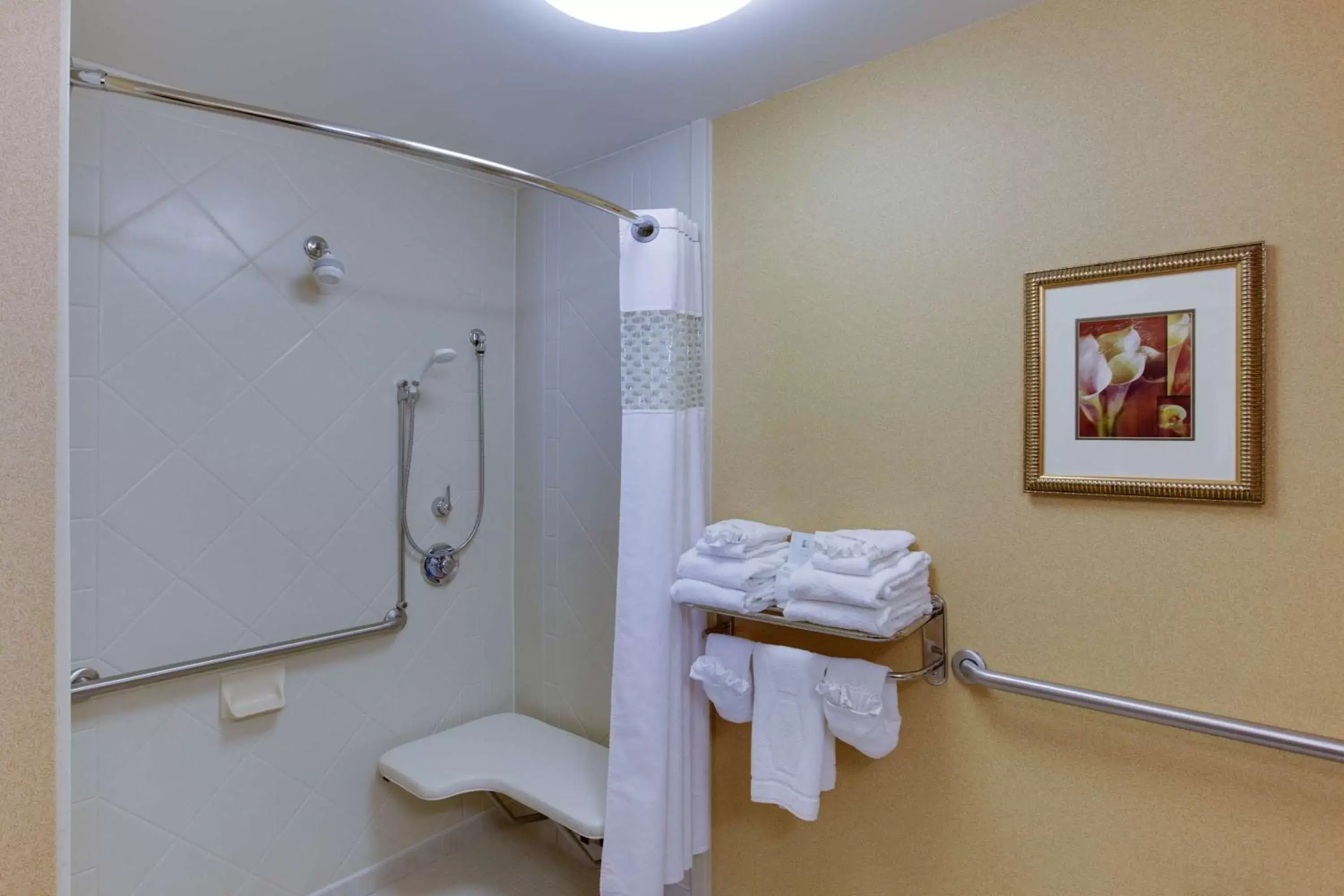 Bathroom in Hampton Inn and Suites Fredericksburg South