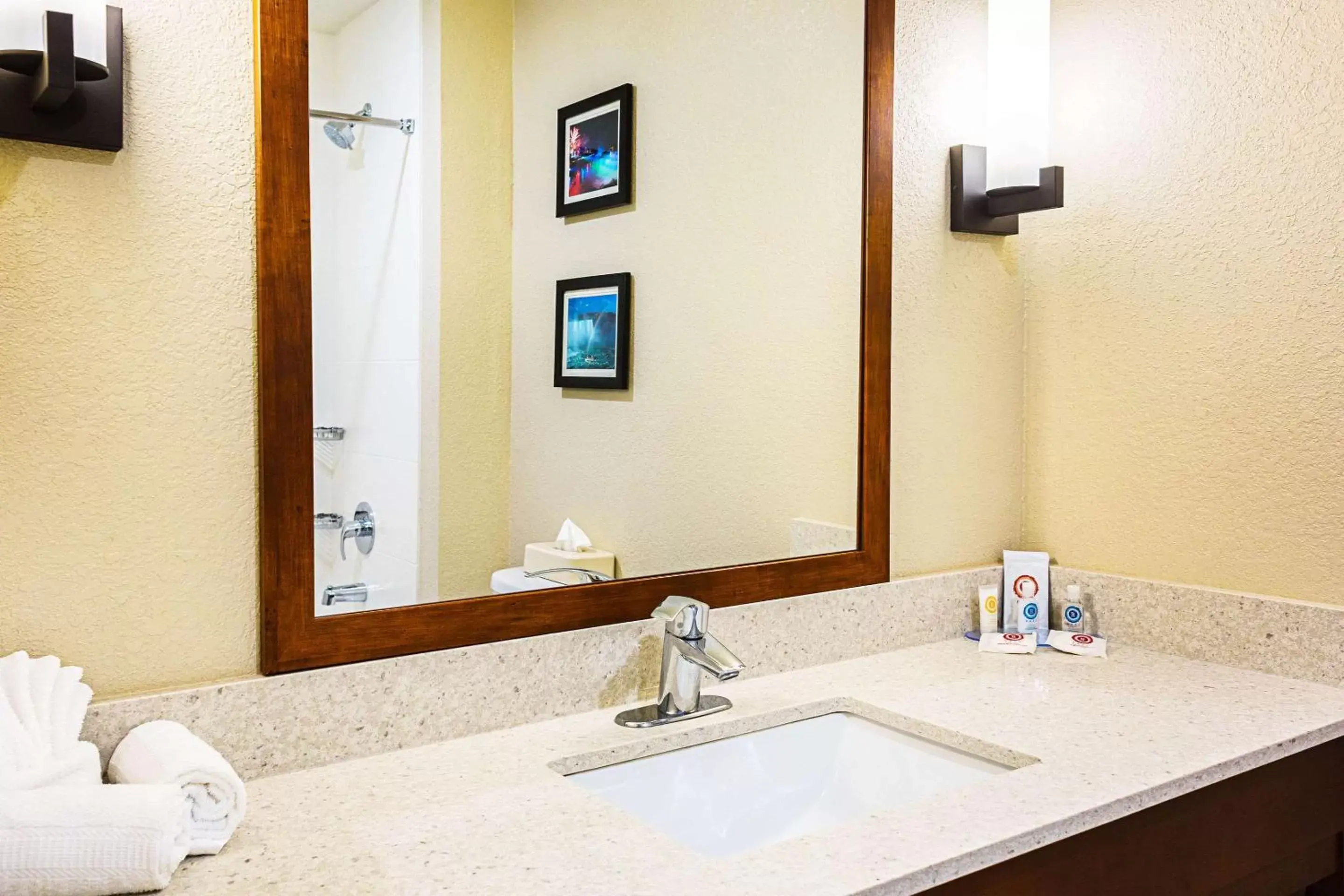 Bathroom in Comfort Inn & Suites Niagara Falls Blvd USA