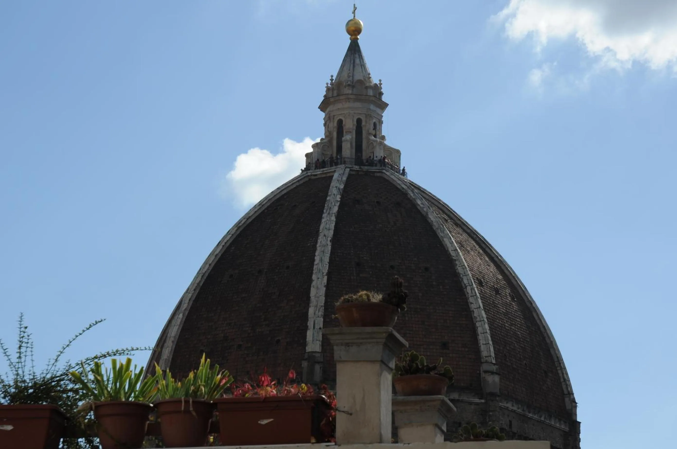View (from property/room) in Hotel California