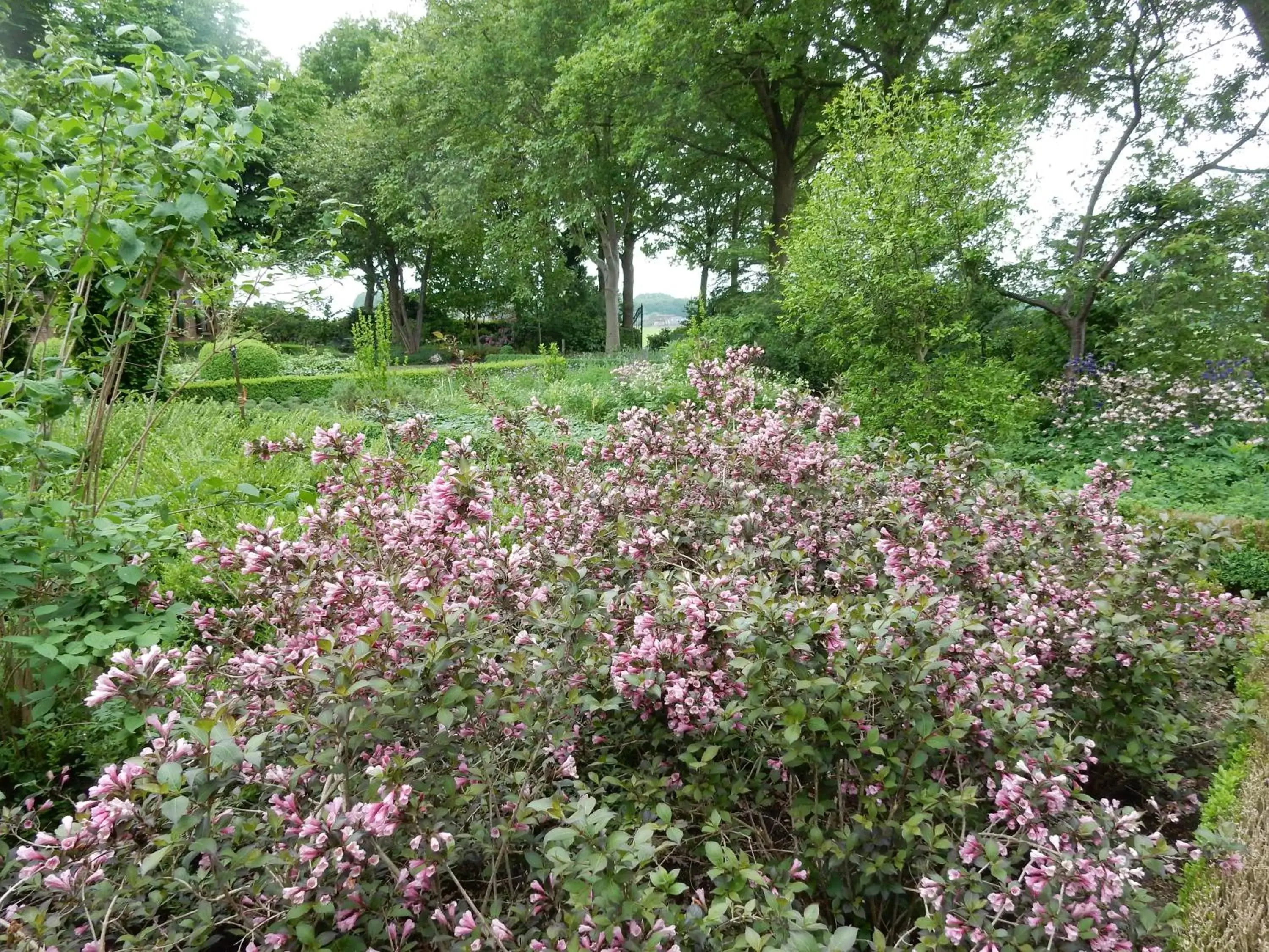 Garden in B&B 't Hekkert