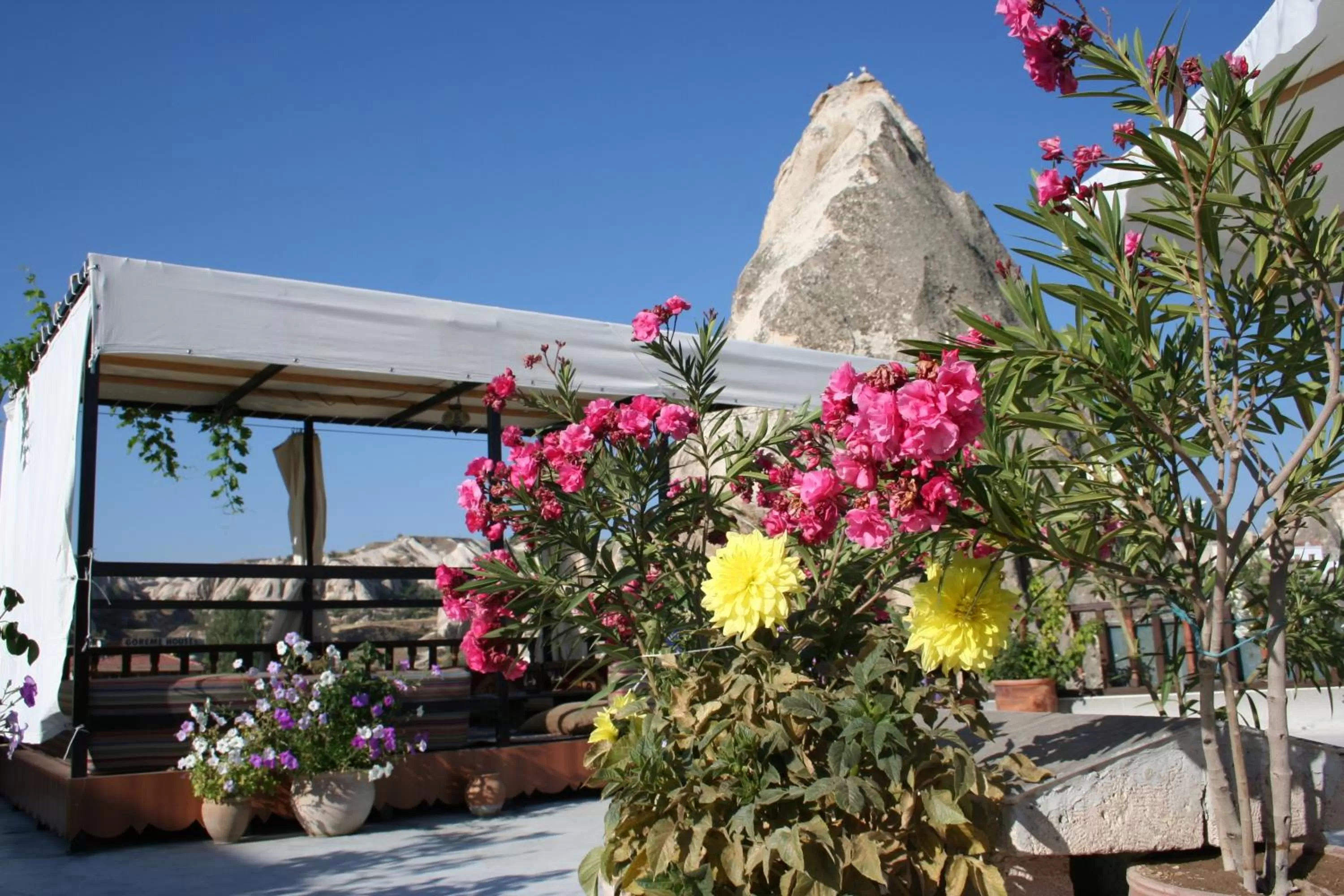 Balcony/Terrace in Arch Palace