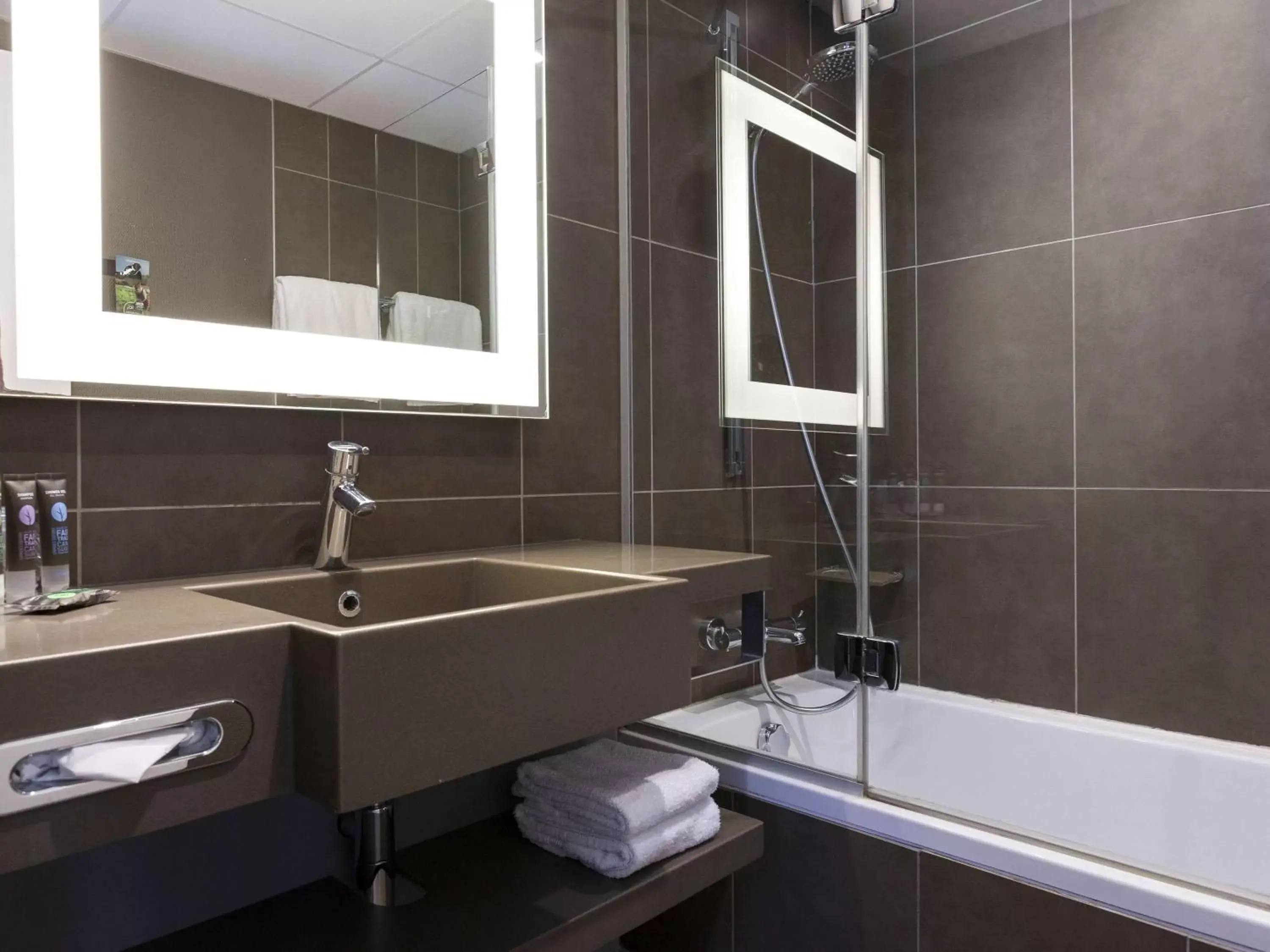 Photo of the whole room, Bathroom in Novotel Annecy Centre Atria