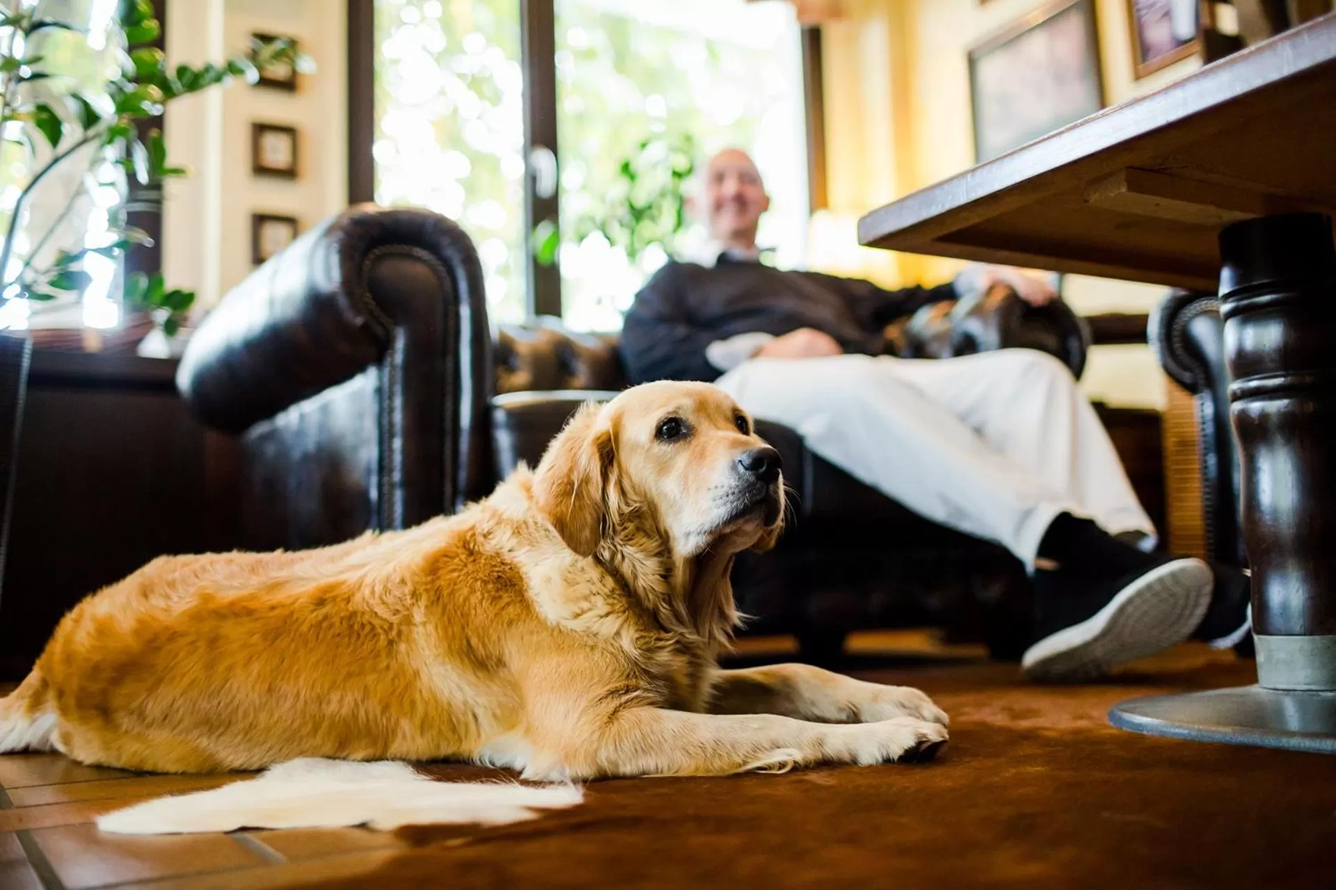 Lounge or bar in Parkhotel Krone