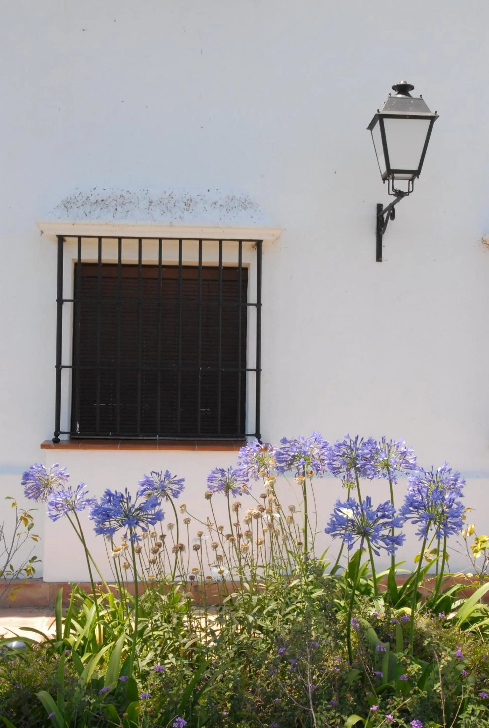 Garden view in Hotel Valsequillo