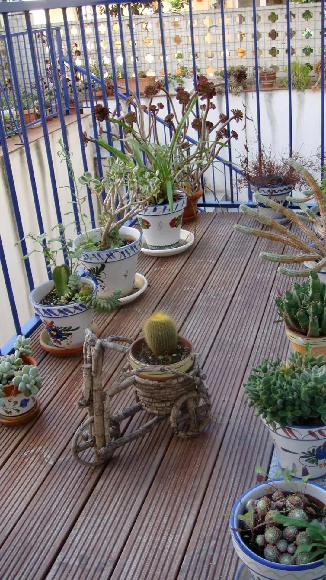 Balcony/Terrace in Hotel Blauet