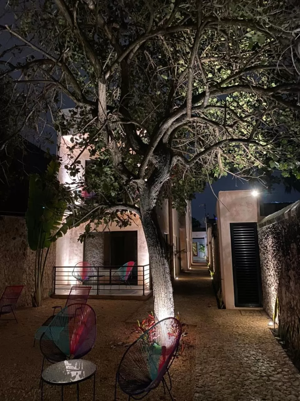 Garden in Hotelito YUM KAAX