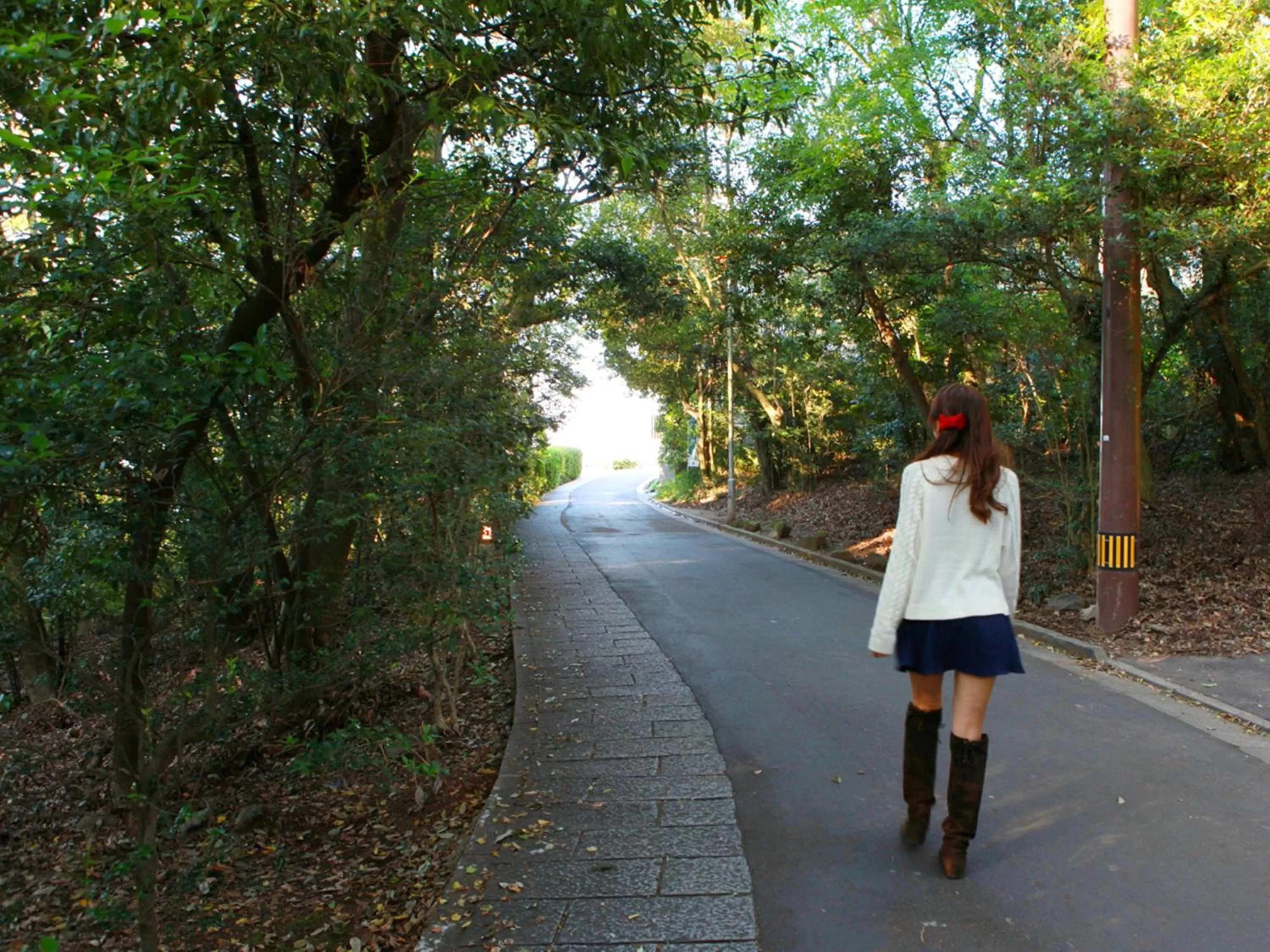 Neighbourhood in Hotel Bokaiso