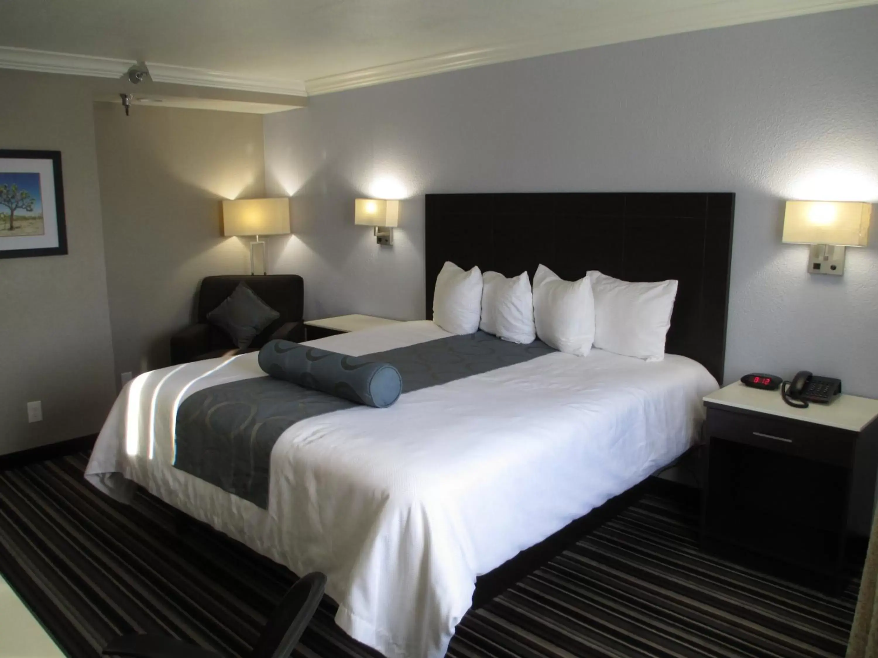 Queen Room with Roll-In Shower - Disability Access/Non-Smoking in Best Western Plus Diamond Valley Inn