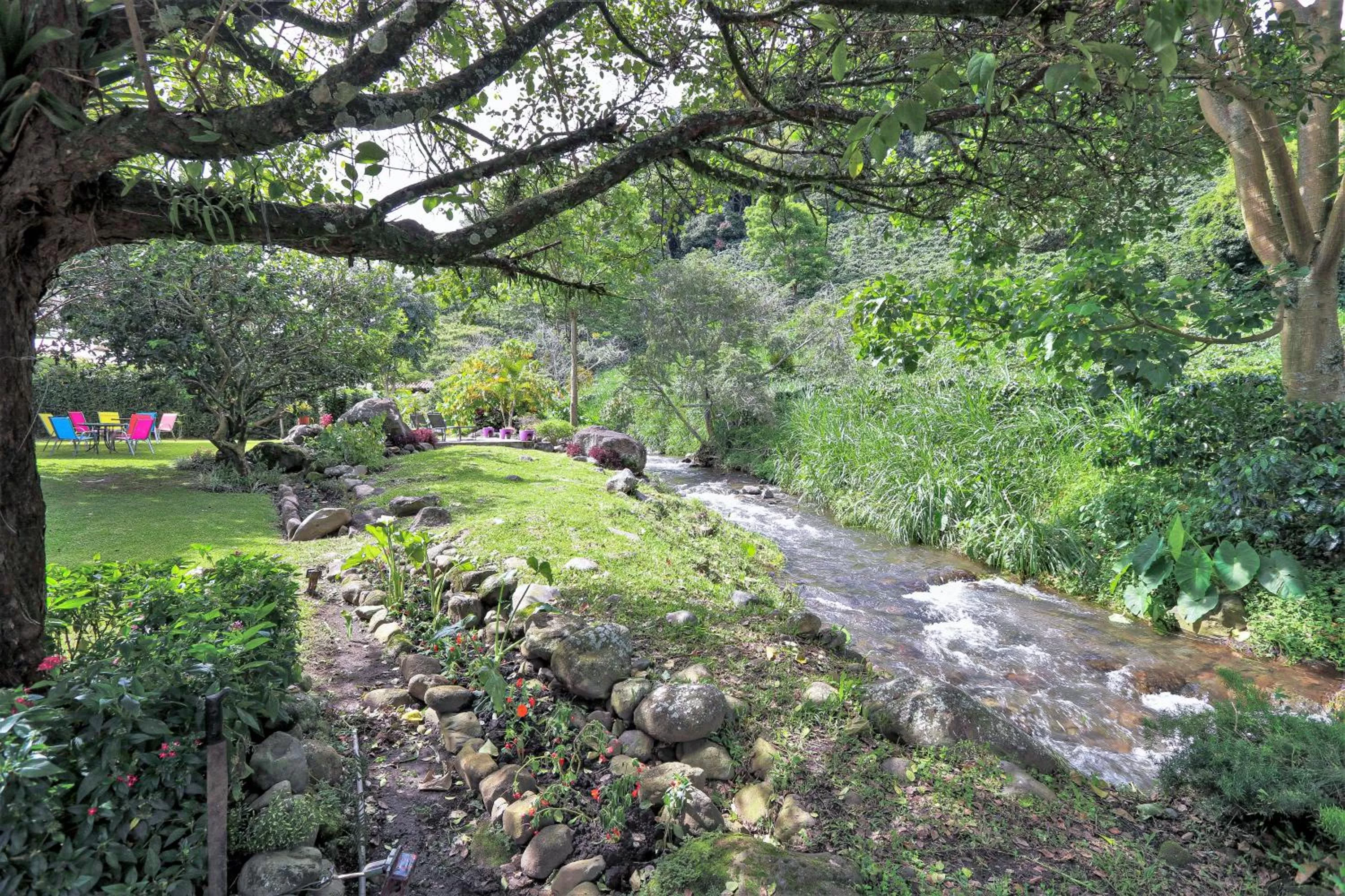 Garden in Hotel Valle del Rio