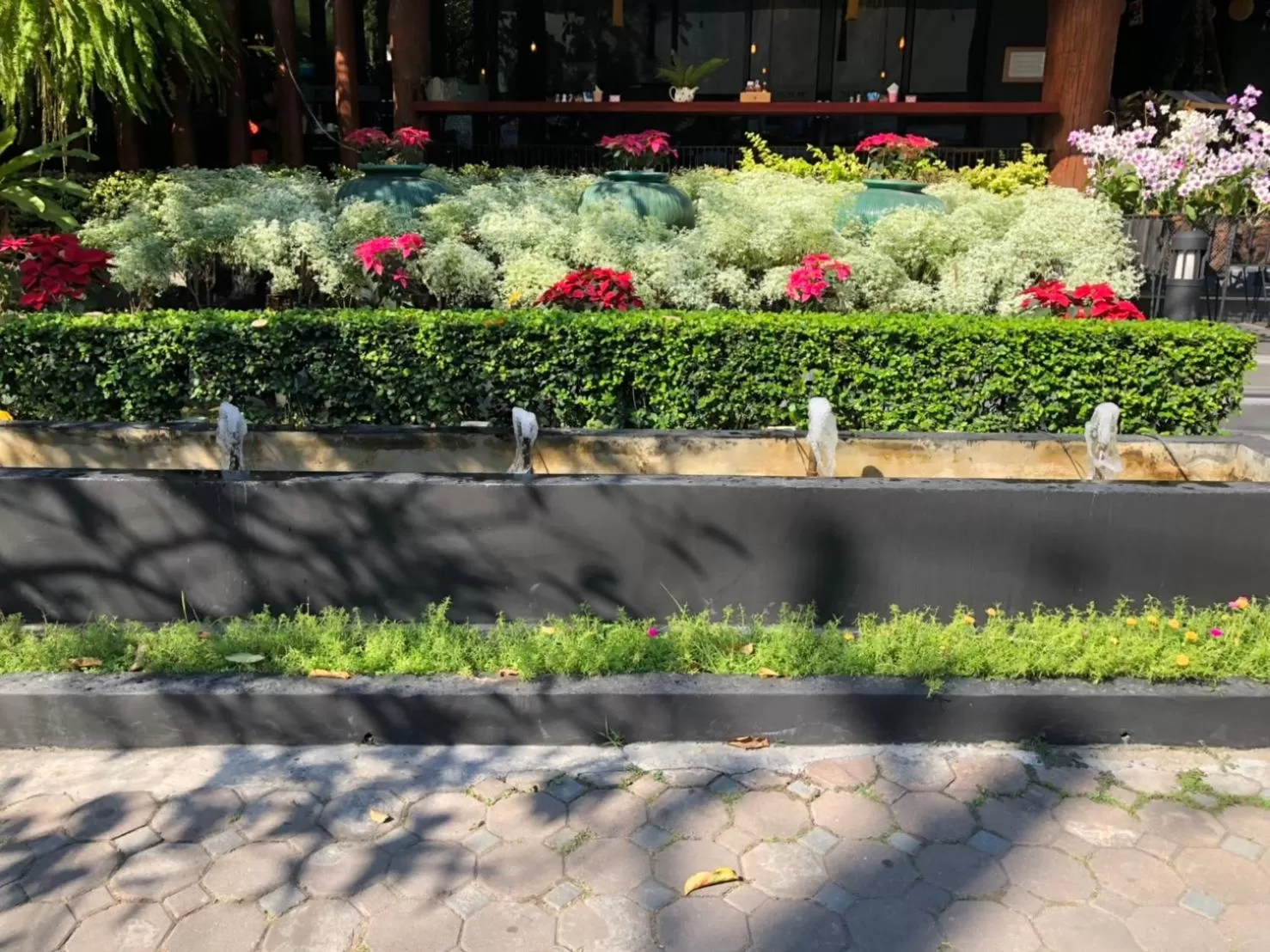 Garden in Le Naview @Prasingh