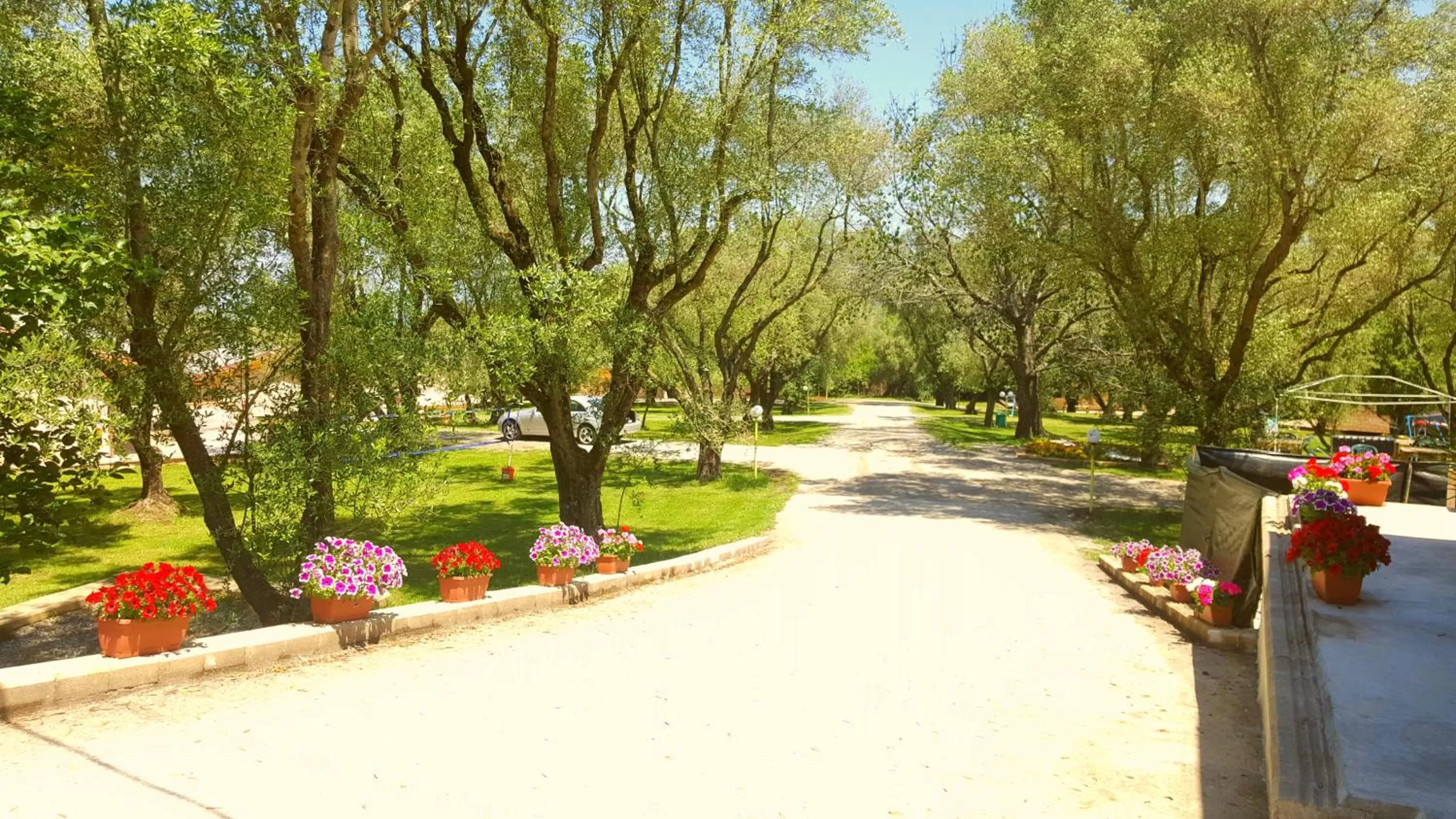 Garden view in Green Park Hotel & Residence