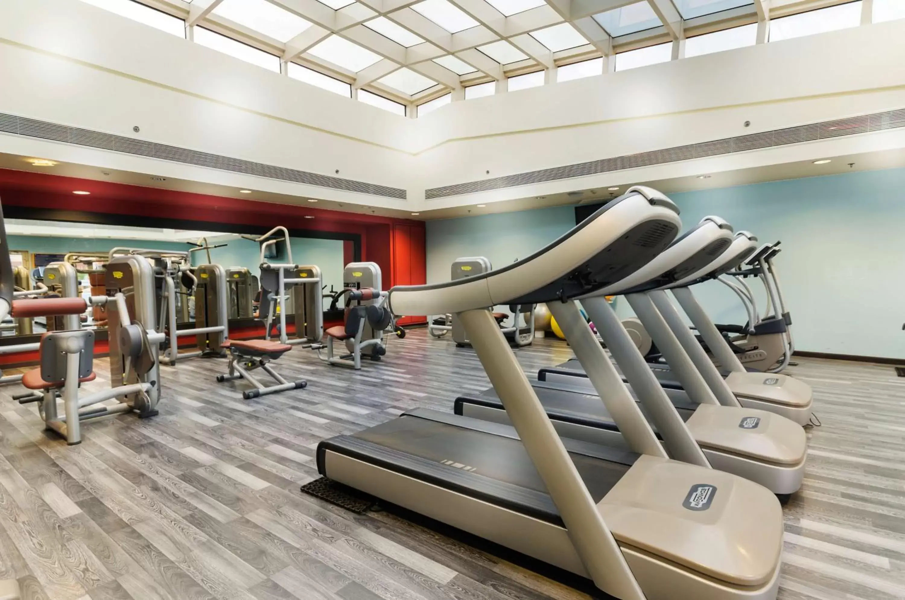 Fitness centre/facilities in Hilton Alexandria Green Plaza Fitness centre/facilities in Hilton Alexandria Green Plaza