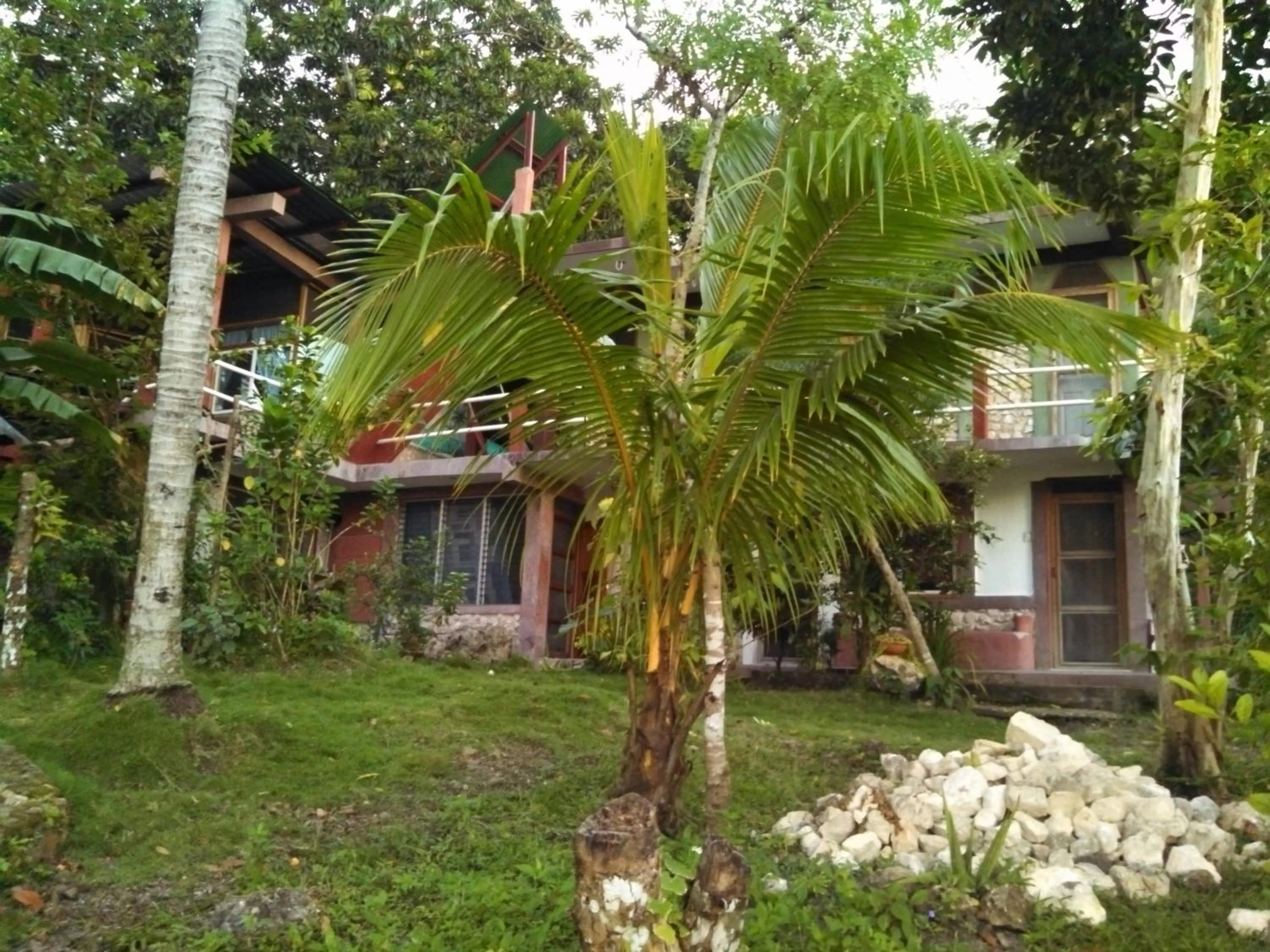 Property building in Zapote Tree Inn