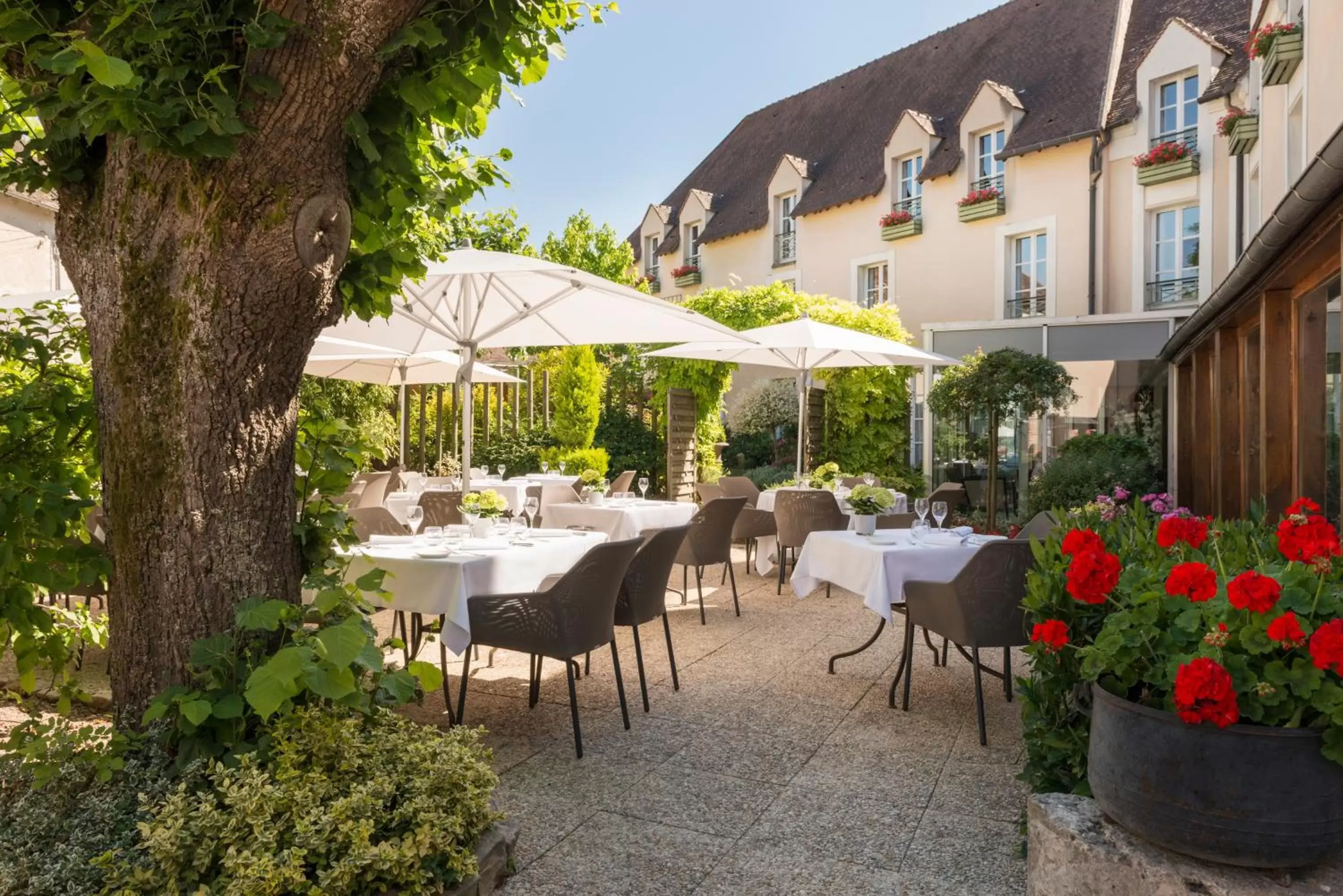 Patio, Restaurant/Places to Eat in Hôtel Aux Vieux Remparts, The Originals Relais