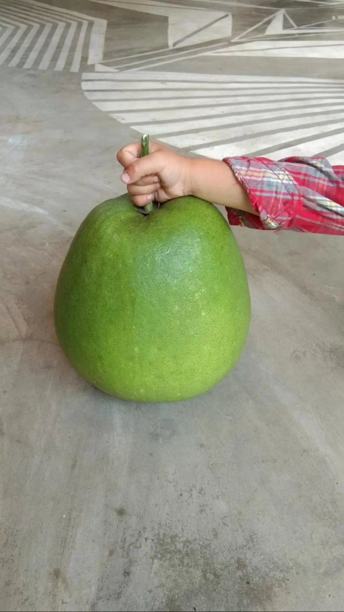 Food and drinks in Café des Arts Gili Air