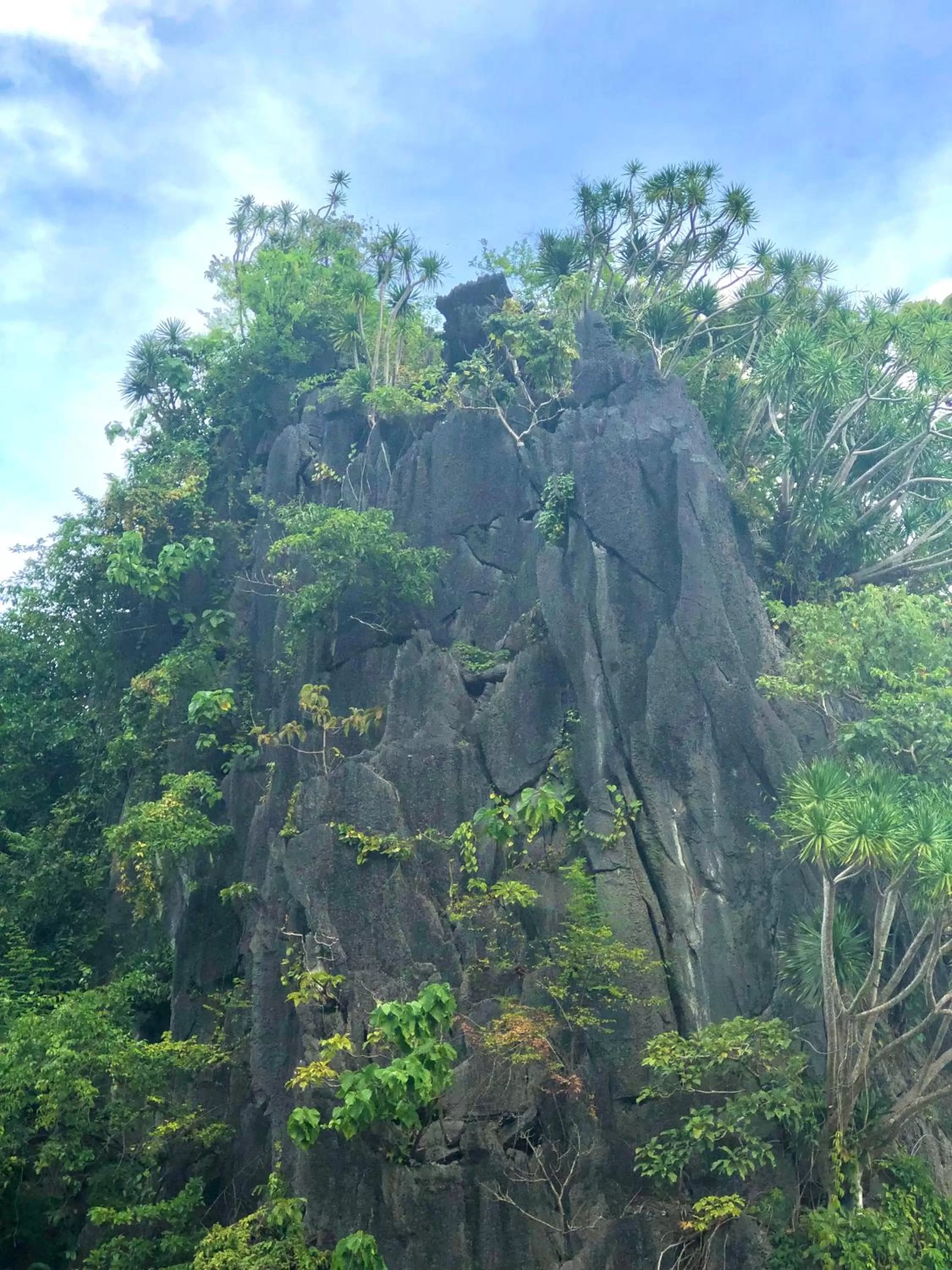 Mountain view in Hanna's Inn, El Nido
