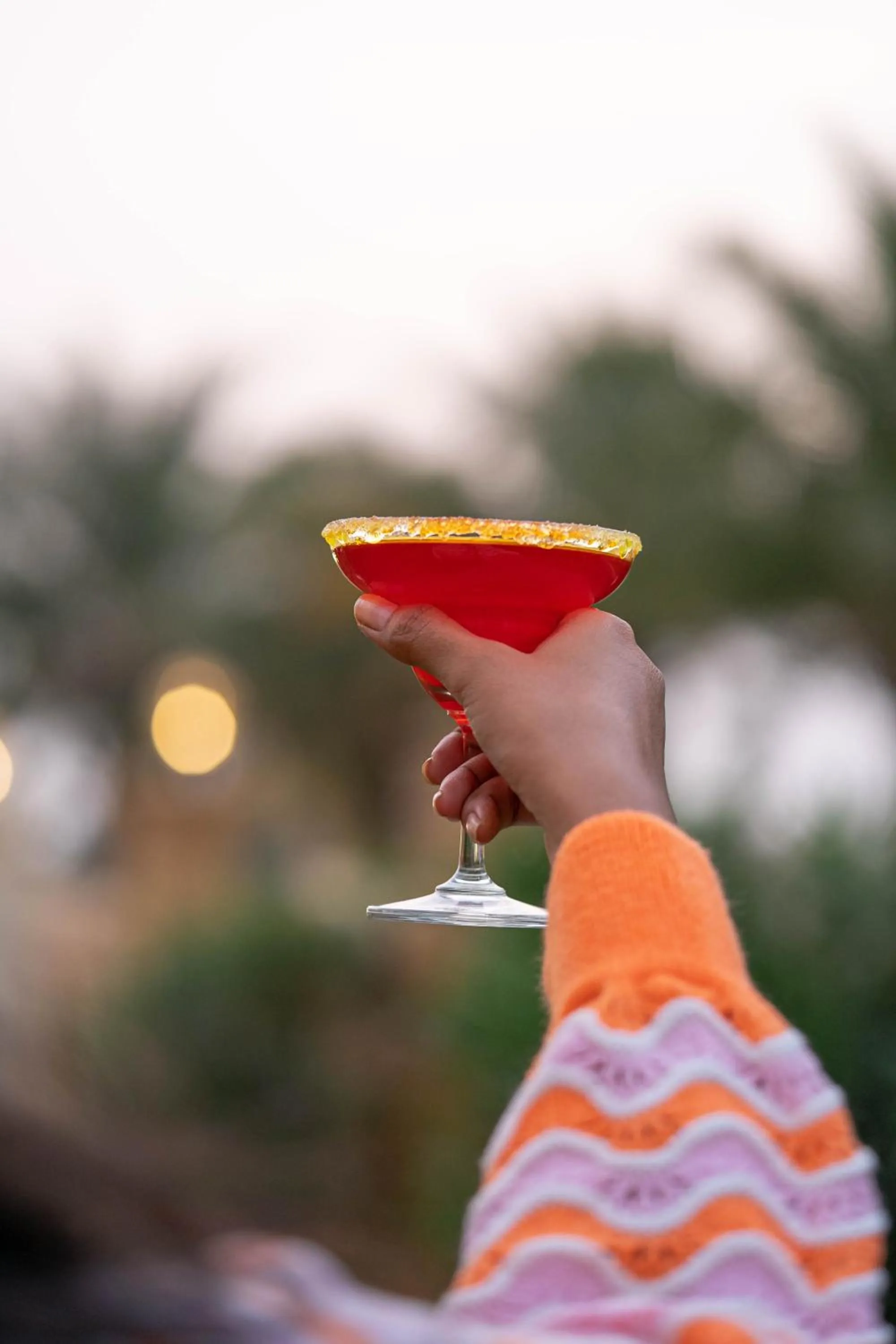 Chokhi Dhani The Palace Hotel