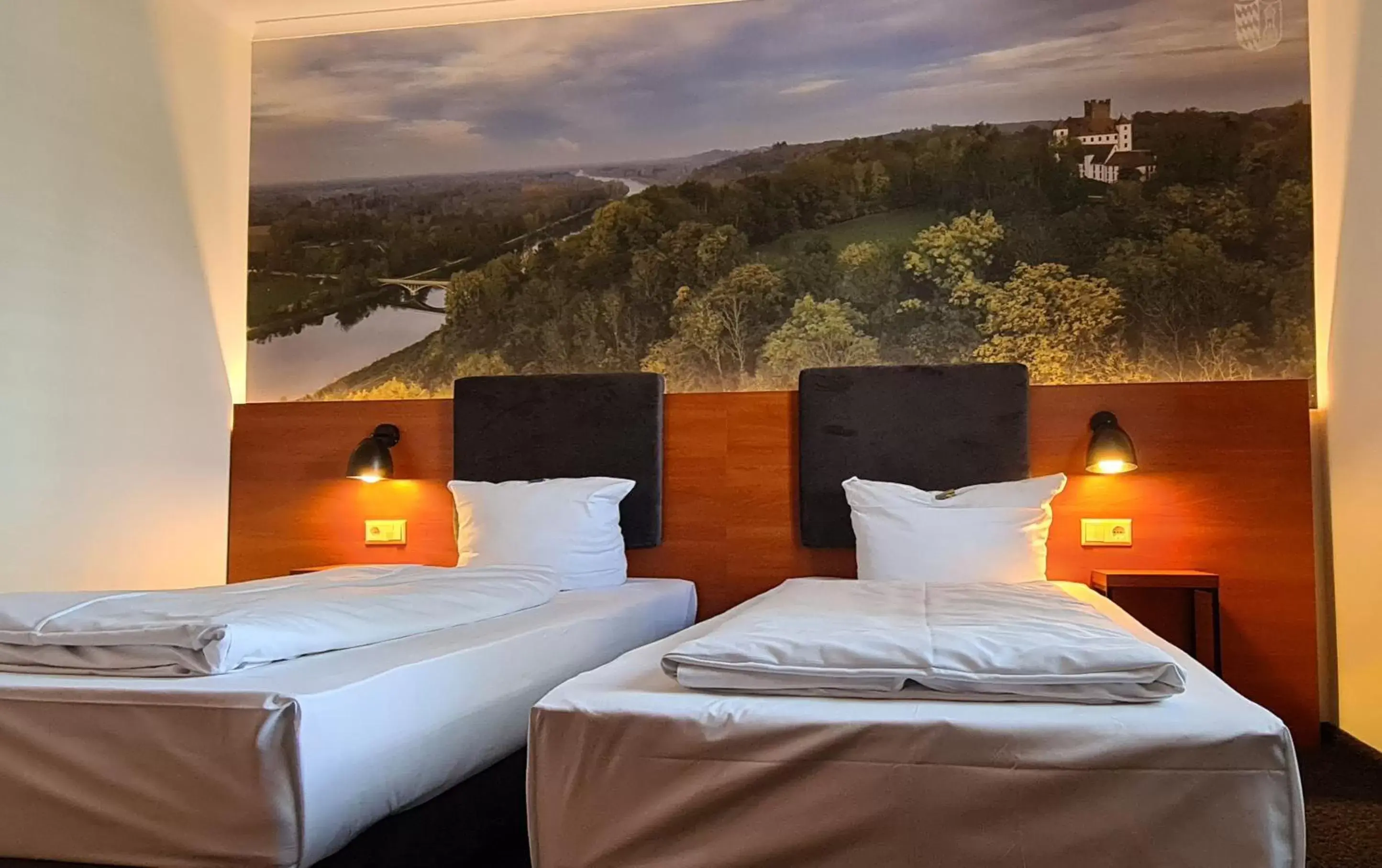 Double Room in EuroHotel Günzburg Double Room in EuroHotel Günzburg