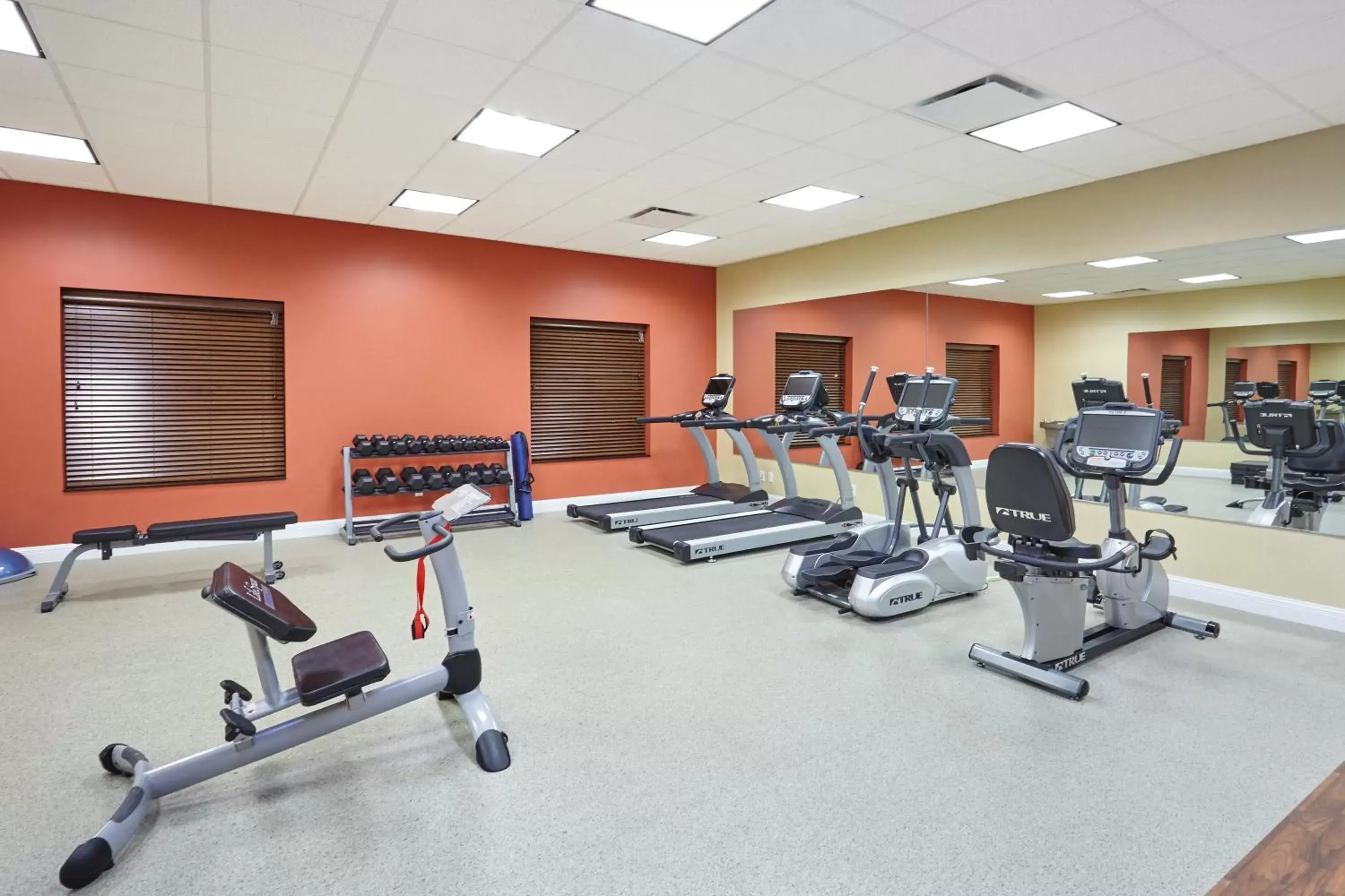 Fitness centre/facilities, Fitness Center/Facilities in Holiday Inn Express and Suites Columbia University Area, an IHG Hotel