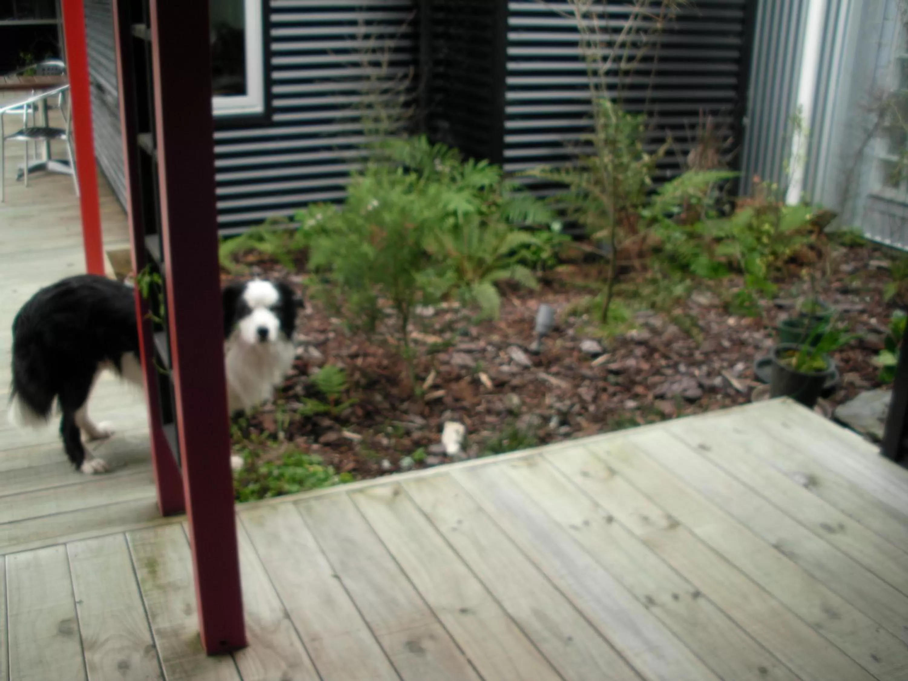 Garden in Mahinapua Retreat B&B