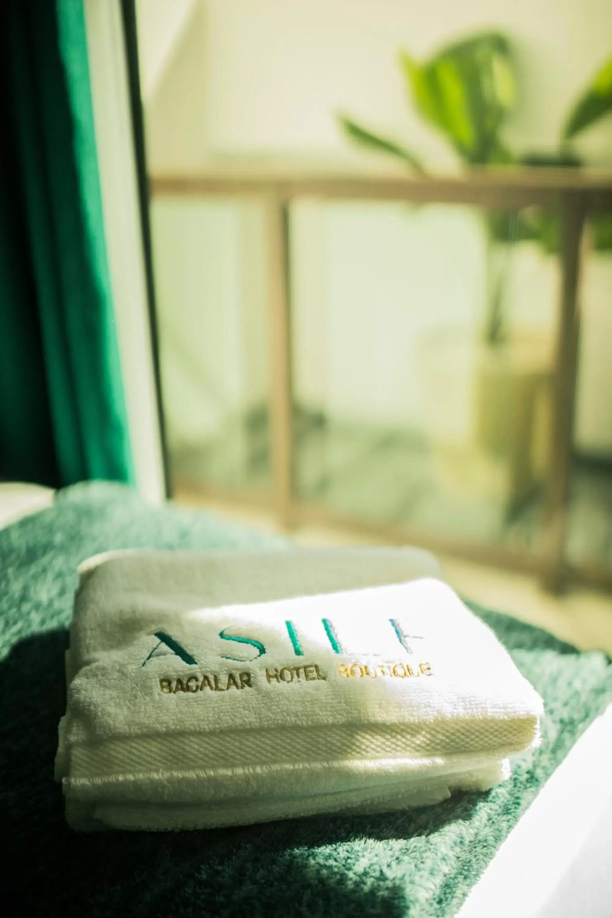 Asilé Hotel Boutique