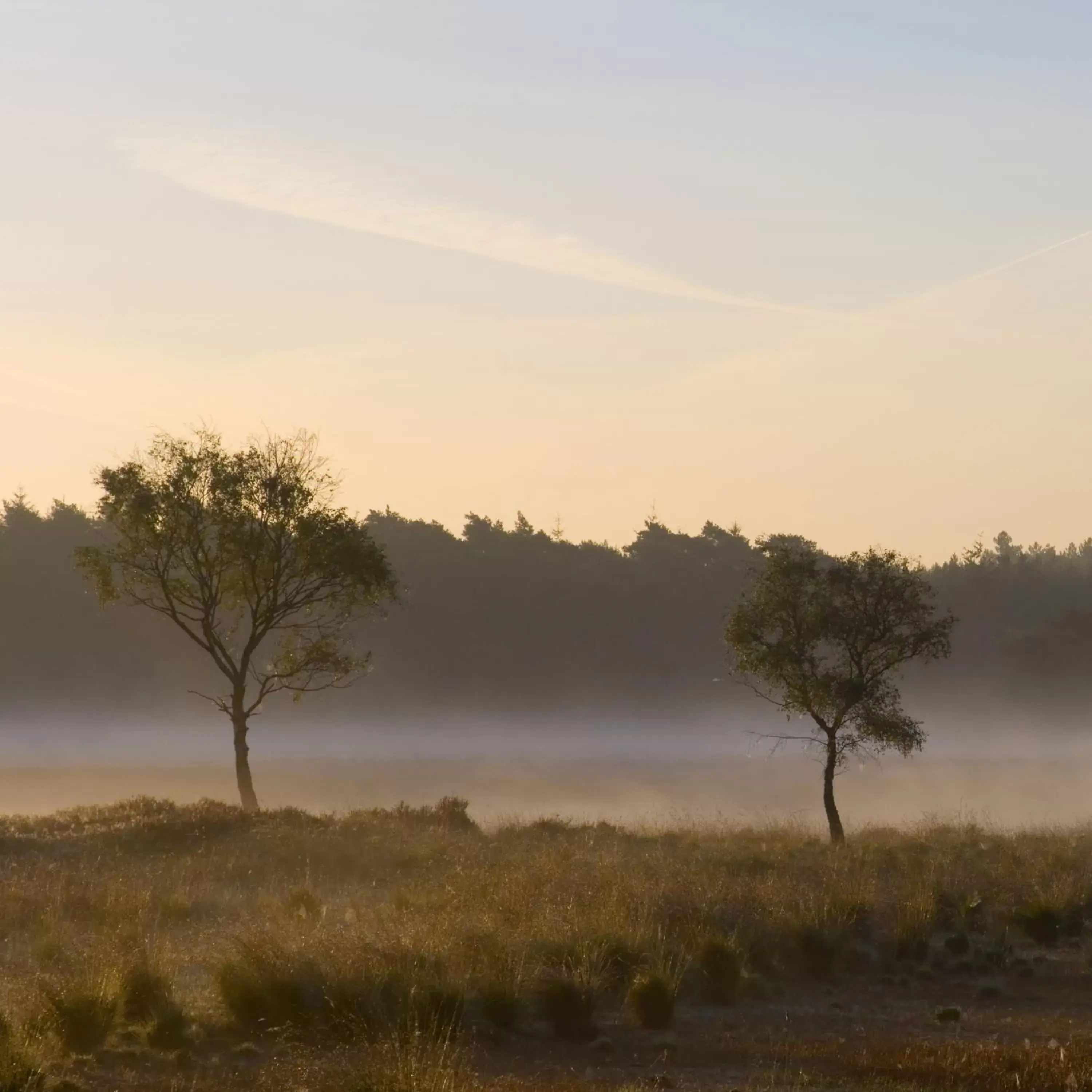 Hiking in Fletcher Hotel-Restaurant De Kempen Hiking in Fletcher Hotel-Restaurant De Kempen