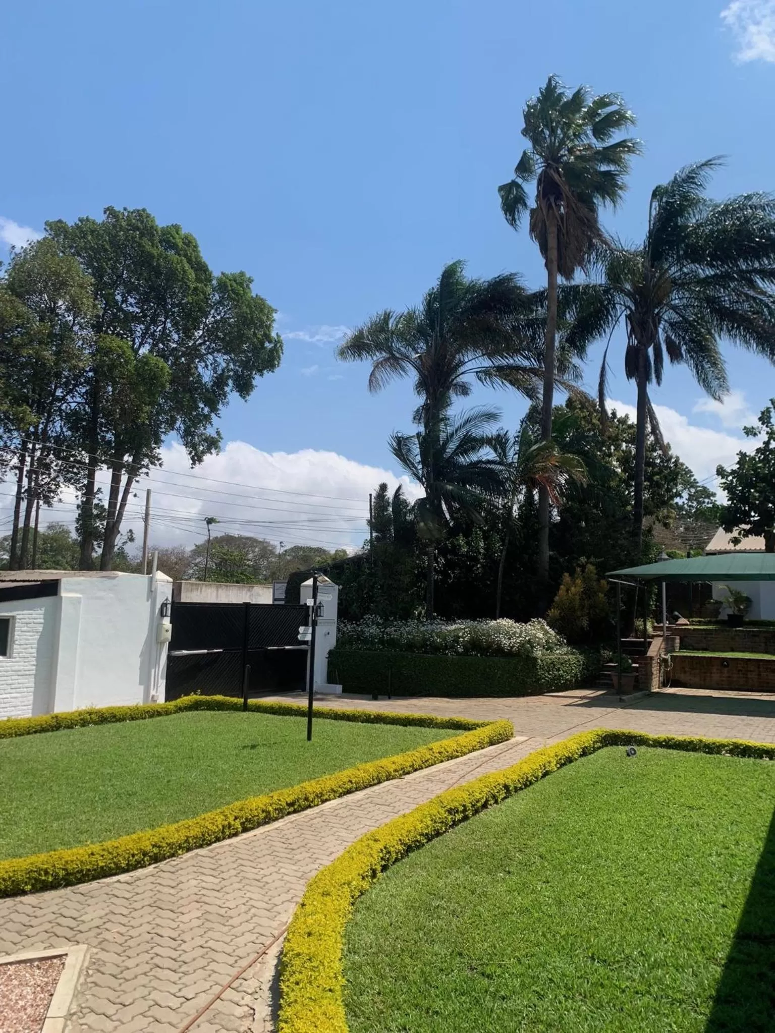 Garden in The Leslie - Bed & Breakfast