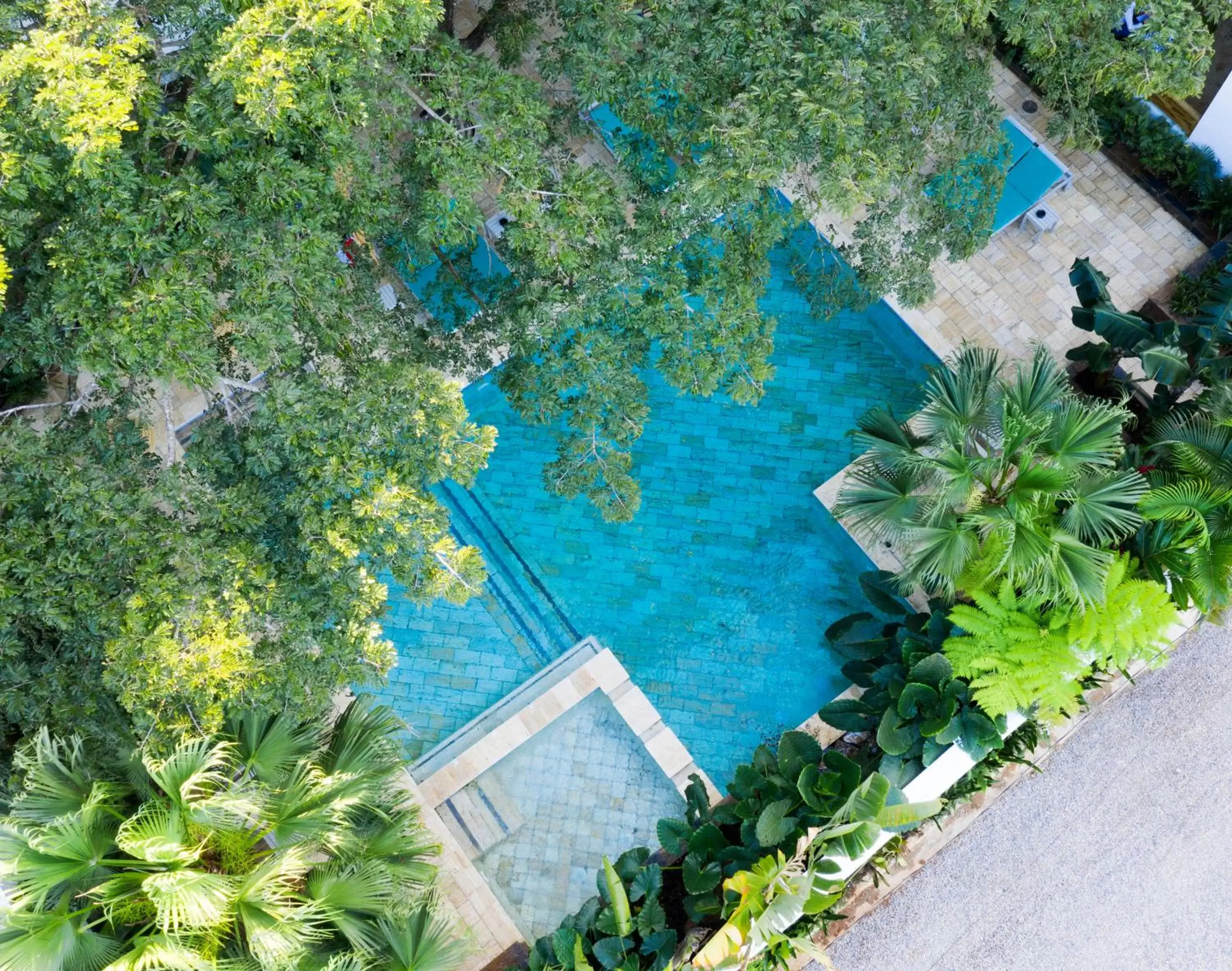 Bird's eye view, Pool View in Saman Boutique Hotel