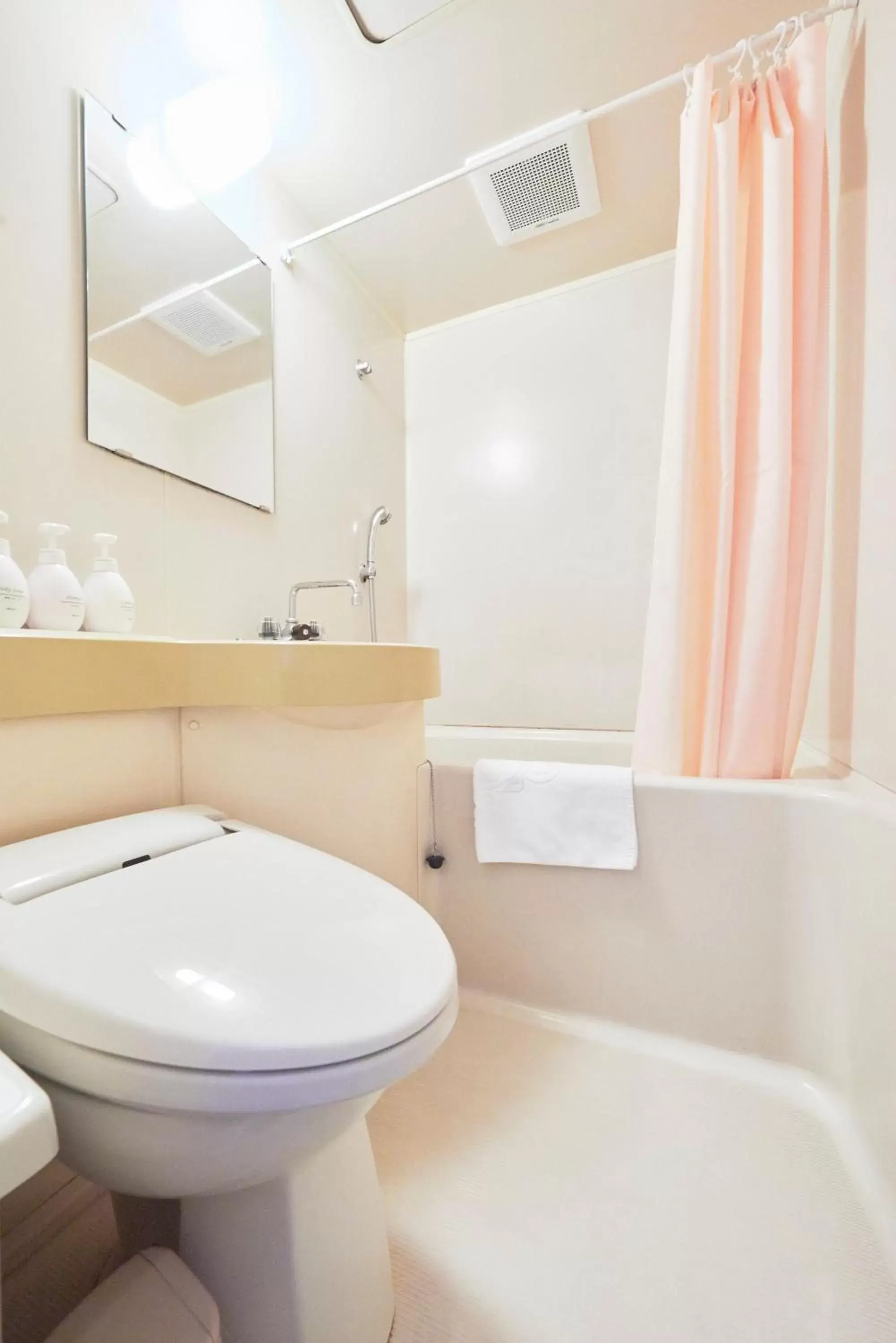 Decorative detail, Bathroom in Hotel Select Inn Nishinasuno