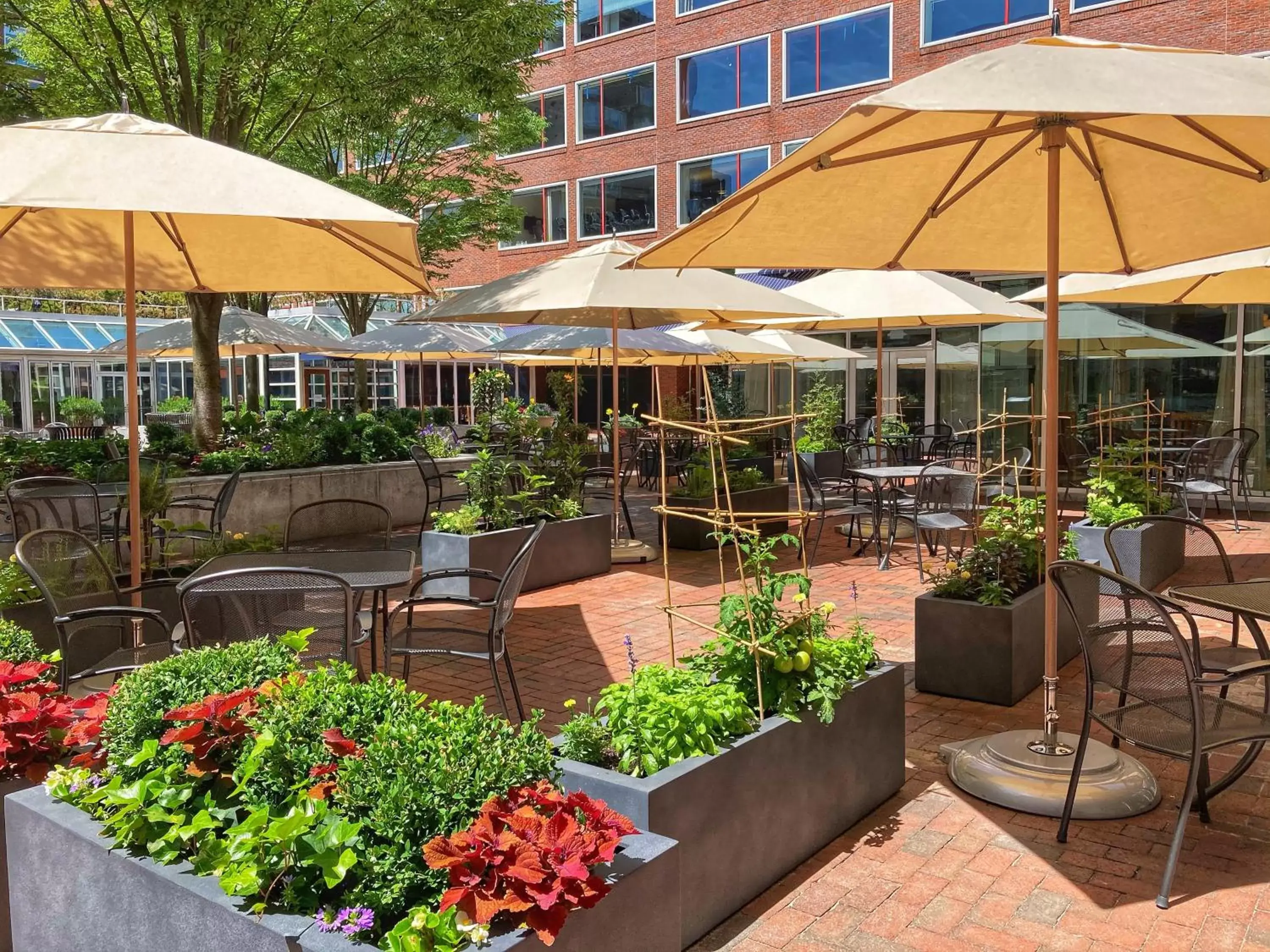 Restaurant/places to eat in The Charles Hotel in Harvard Square