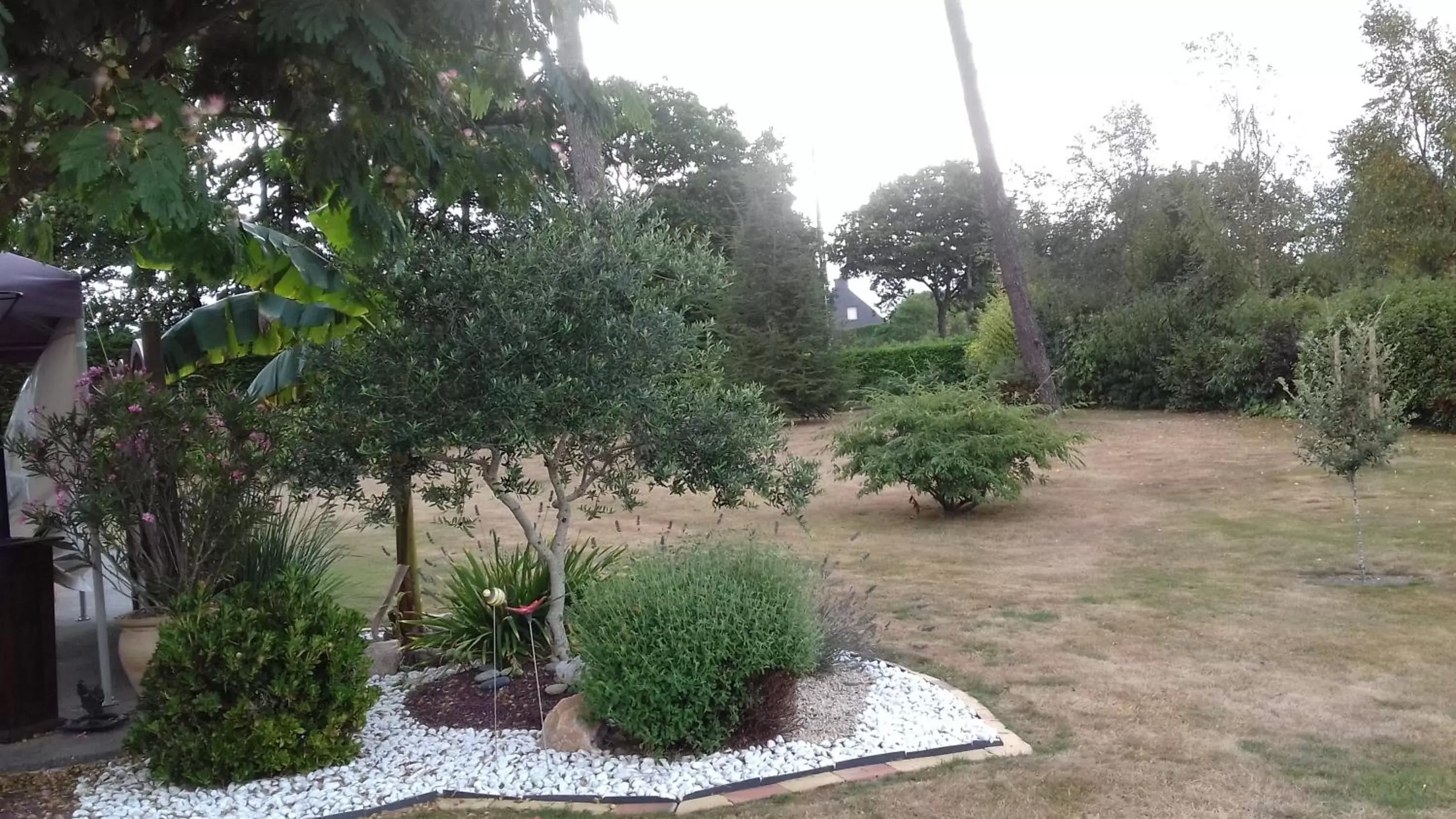 Garden in chambre chez l habitant