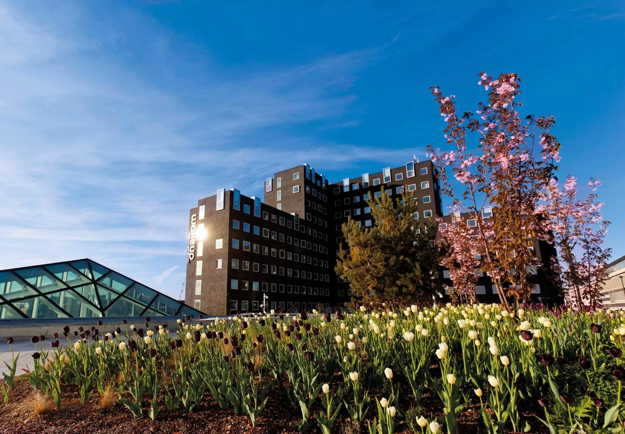 Area and facilities in Wakeup Copenhagen - Carsten Niebuhrs Gade