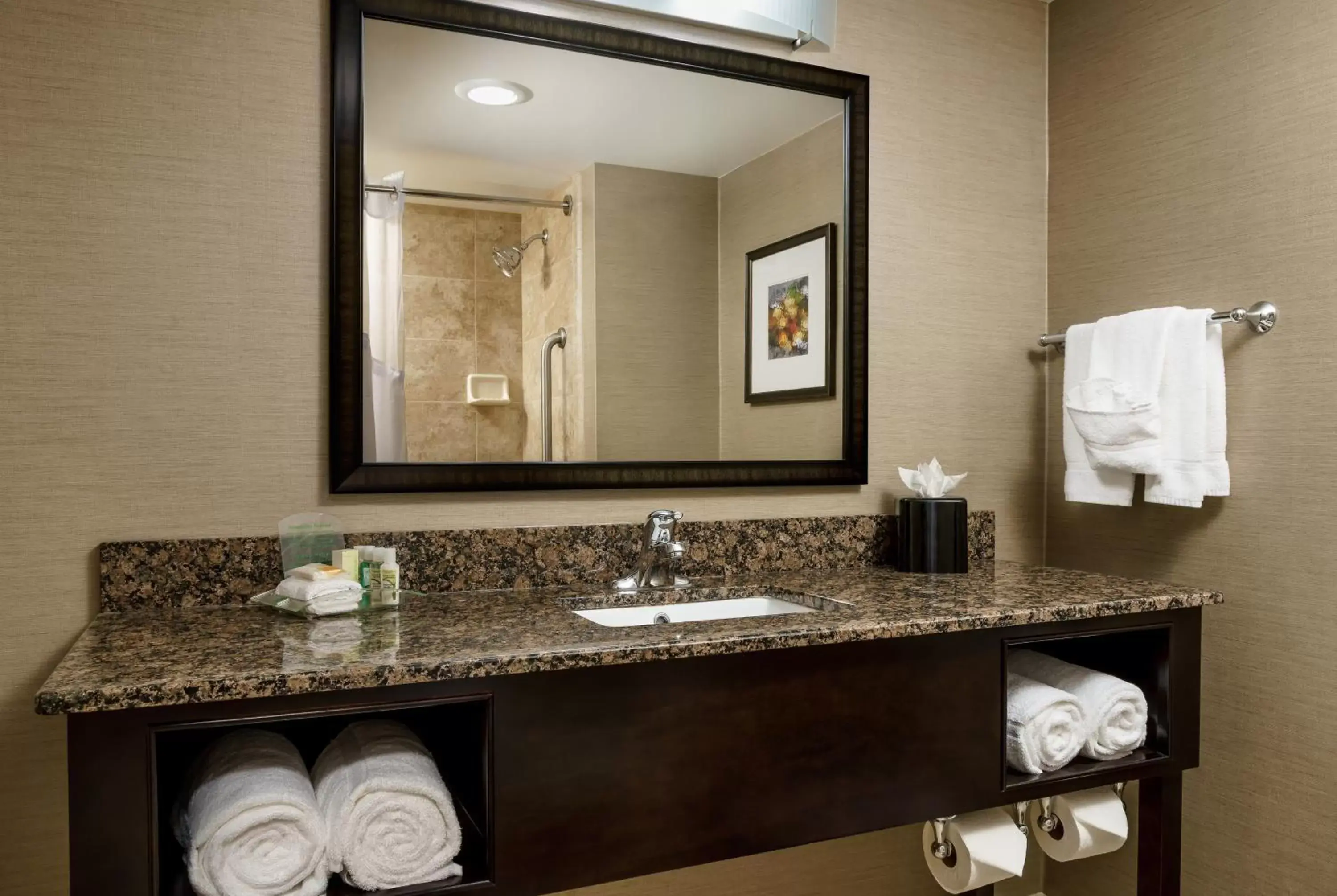 Bathroom in Holiday Inn Charlotte University, an IHG Hotel