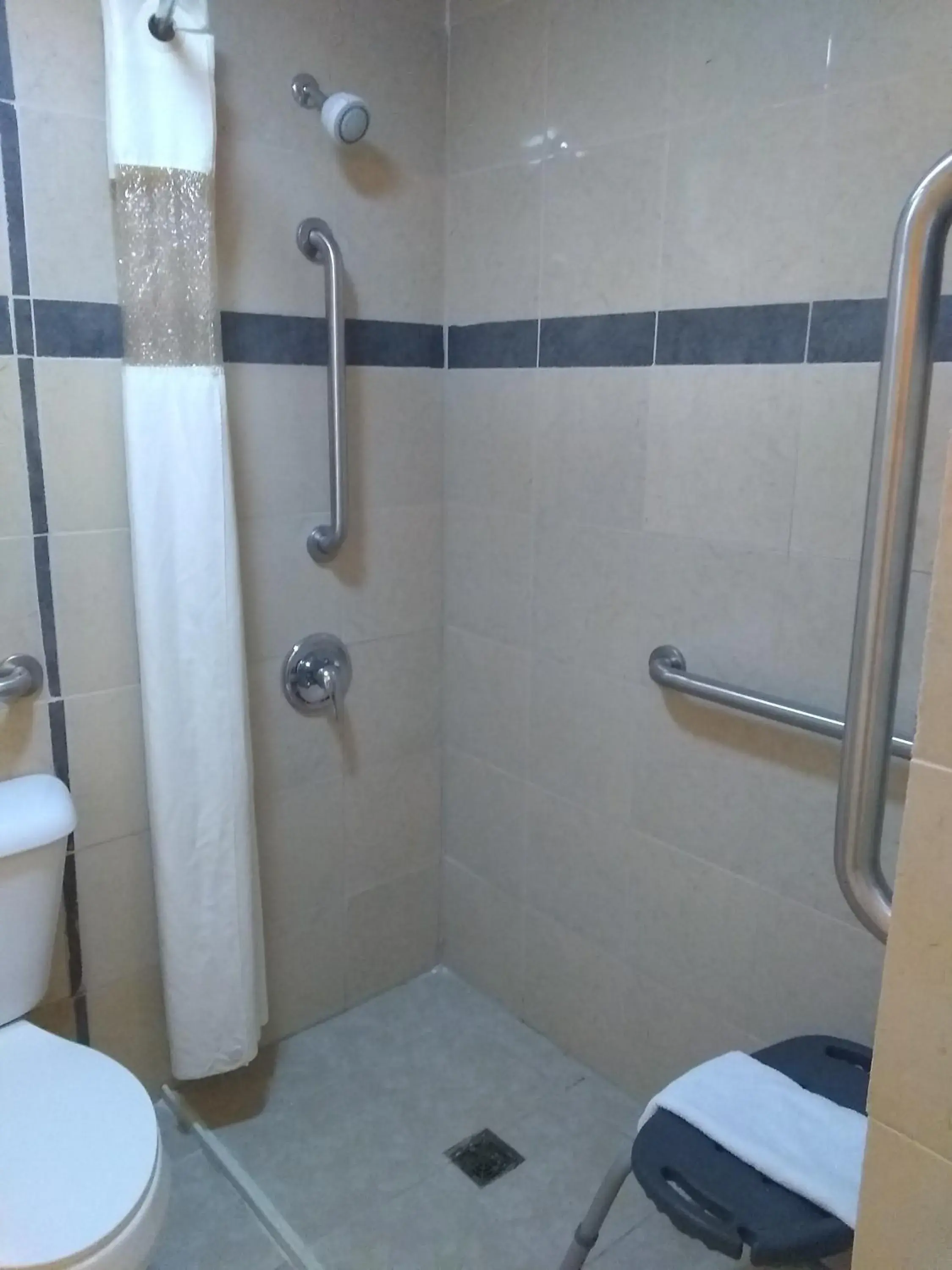 King Room with Roll-in Shower - Disability Access/Non-Smoking in Hotel Lincoln Inn