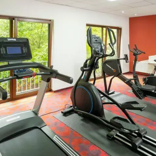 Fitness centre/facilities, Fitness Center/Facilities in City Hotel Meckenheim